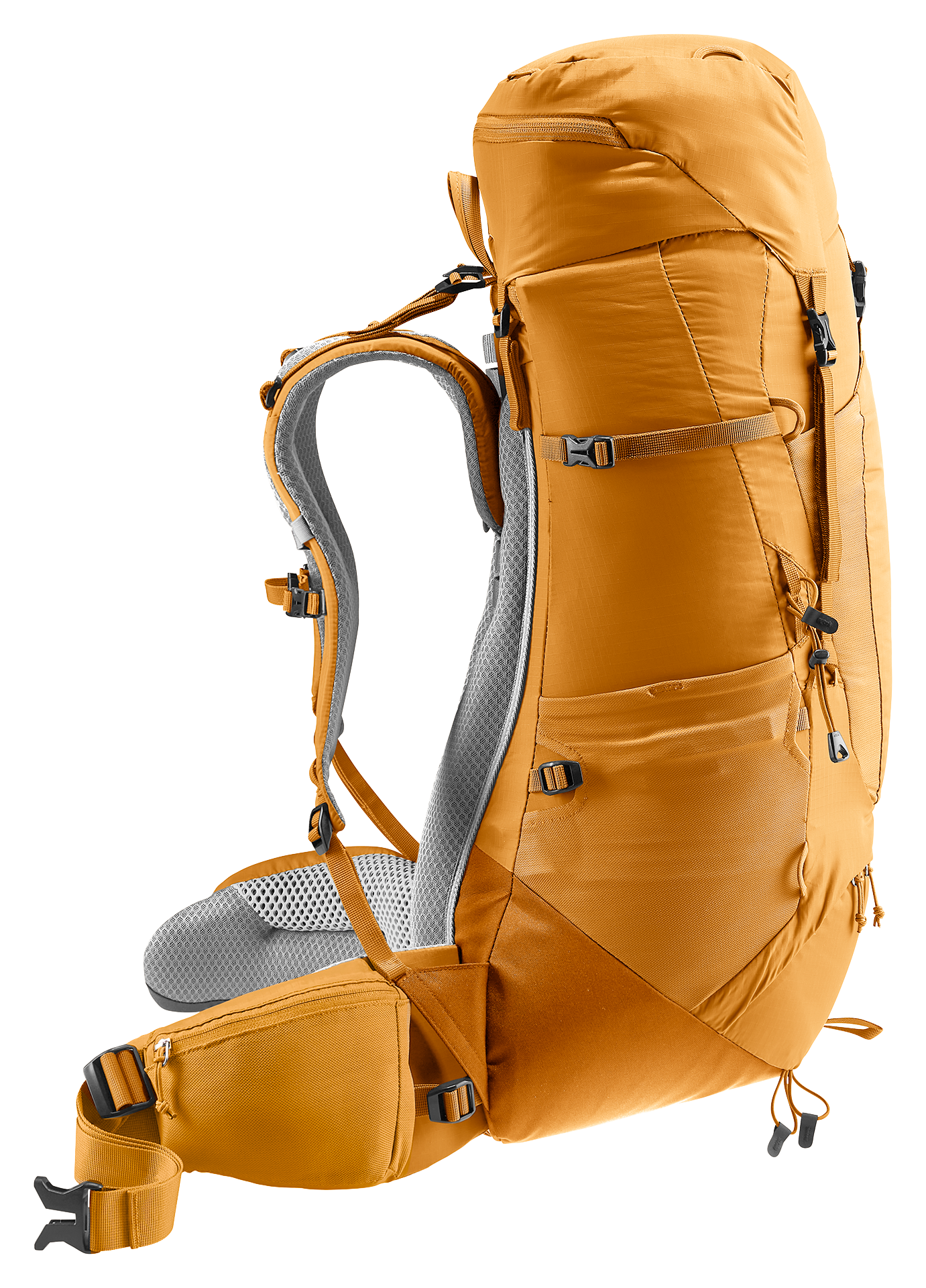 back system view