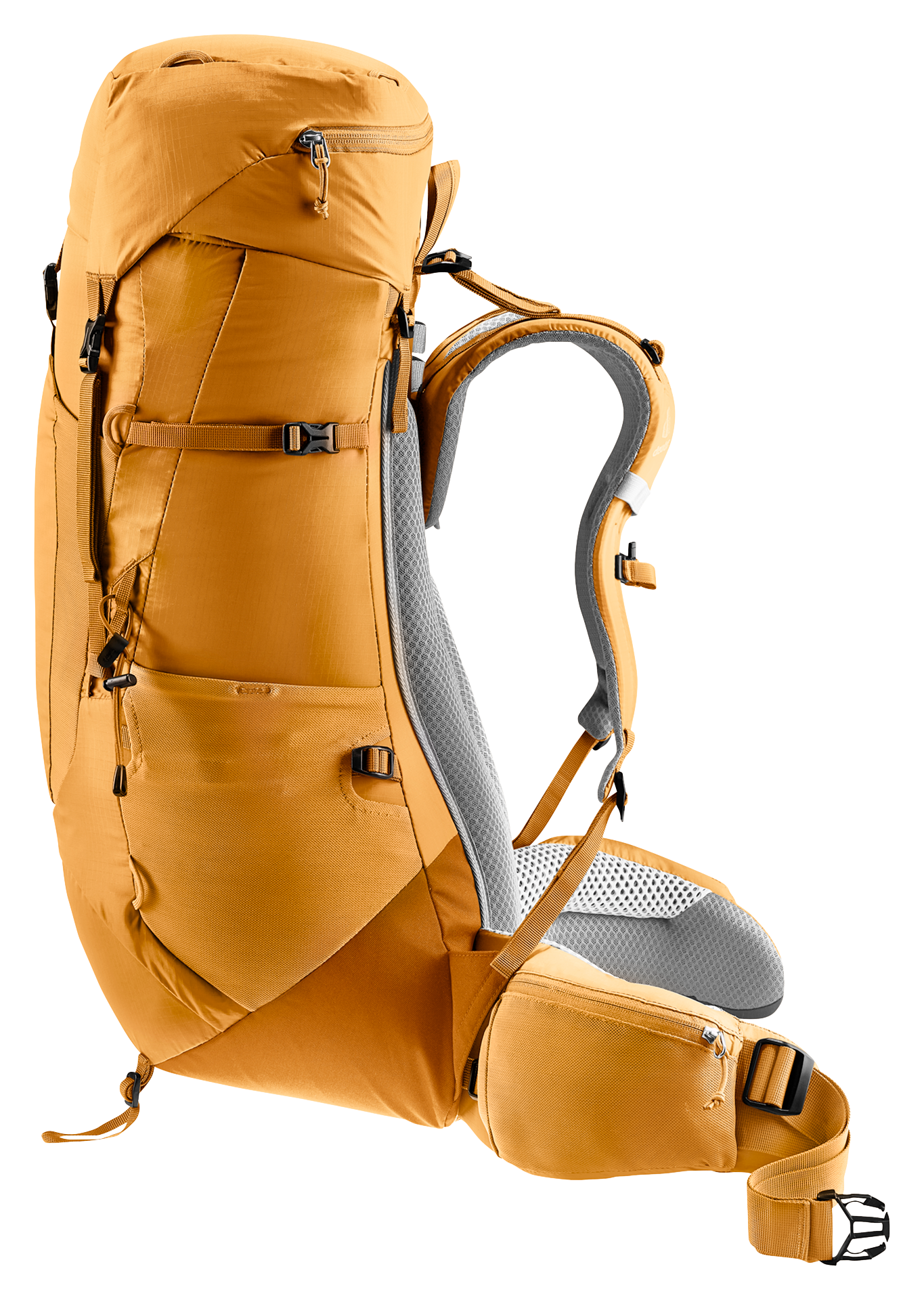profile view