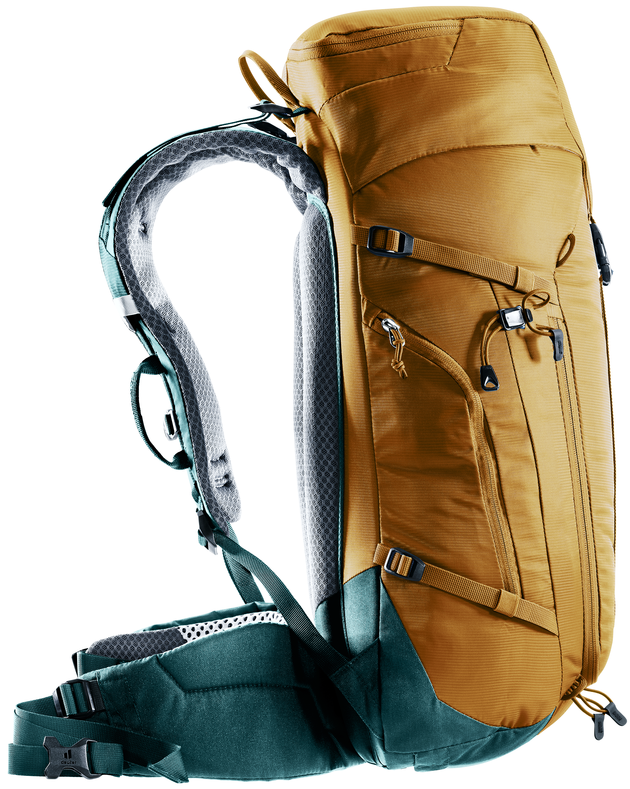 back system view