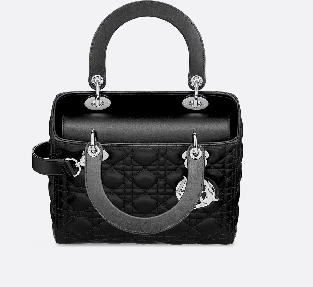 Silver-hardware version shown with the detachable shoulder strap