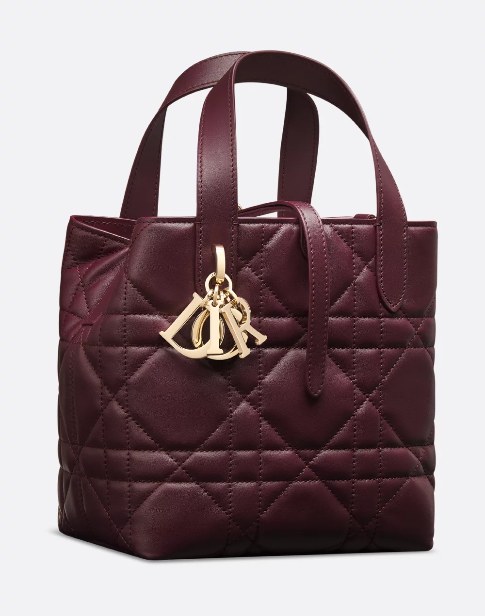 Plum Macrocannage, three-quarter view with the DIOR letter charm