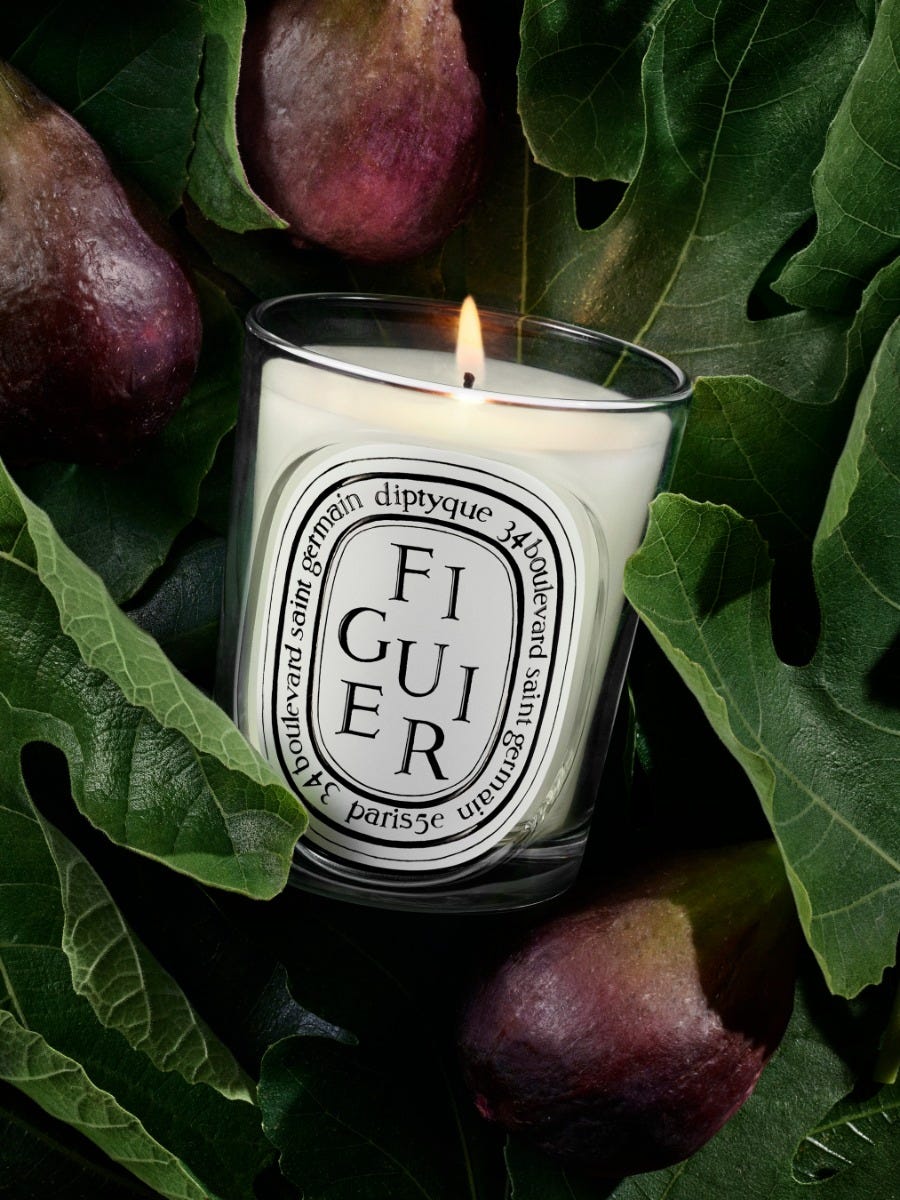 official still life