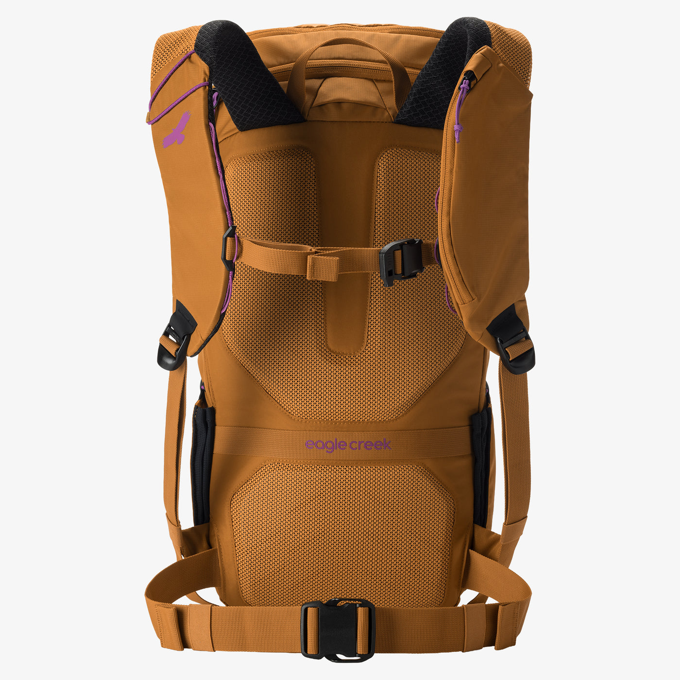 back panel view