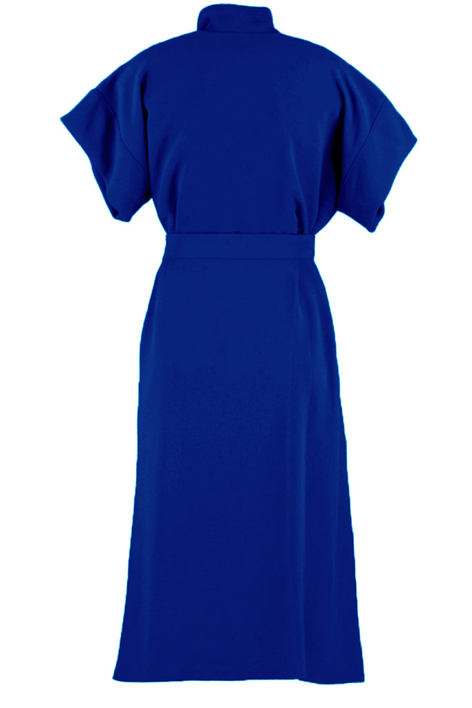 royal blue back