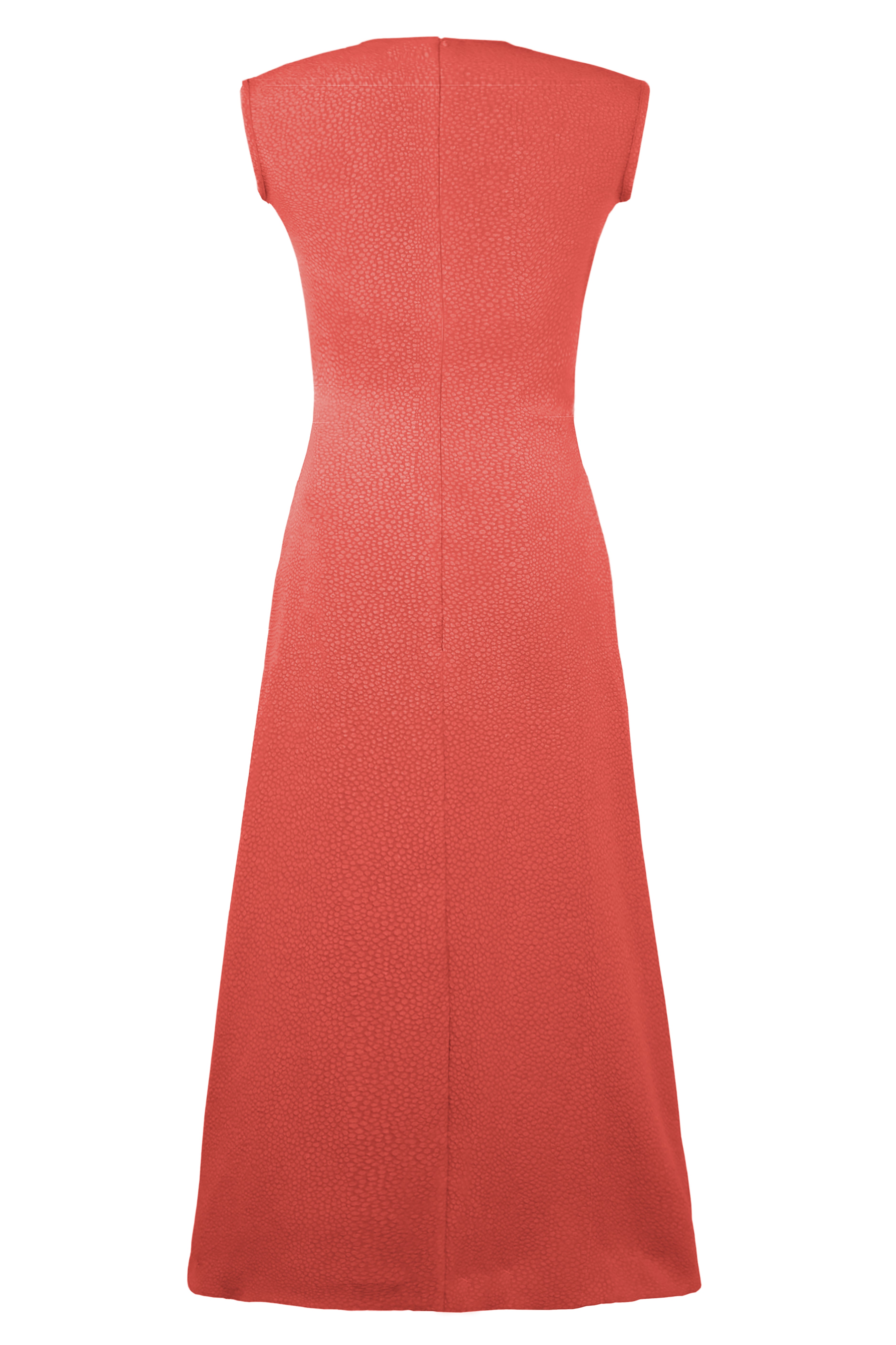 coral back