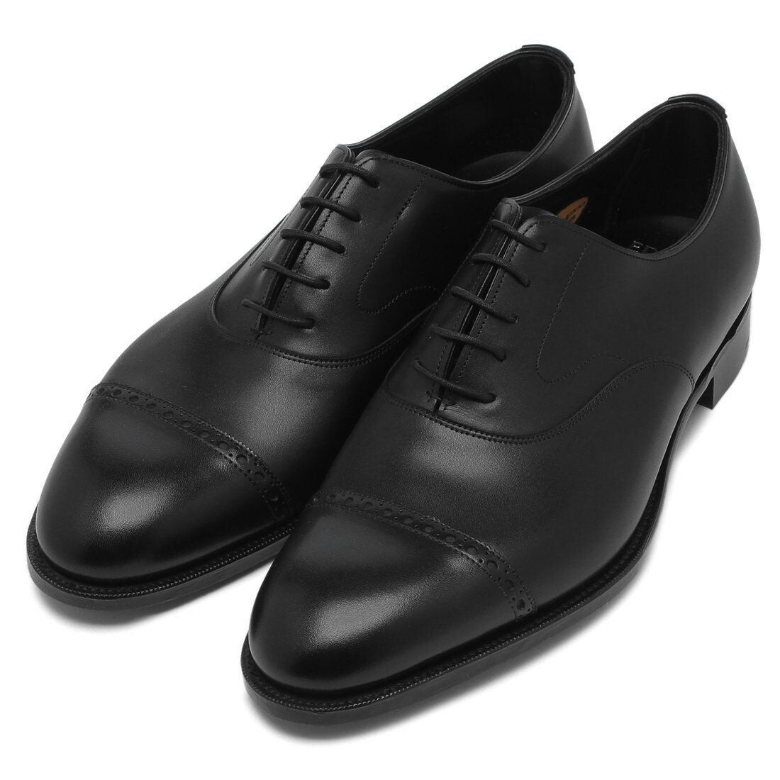 black calf pair view