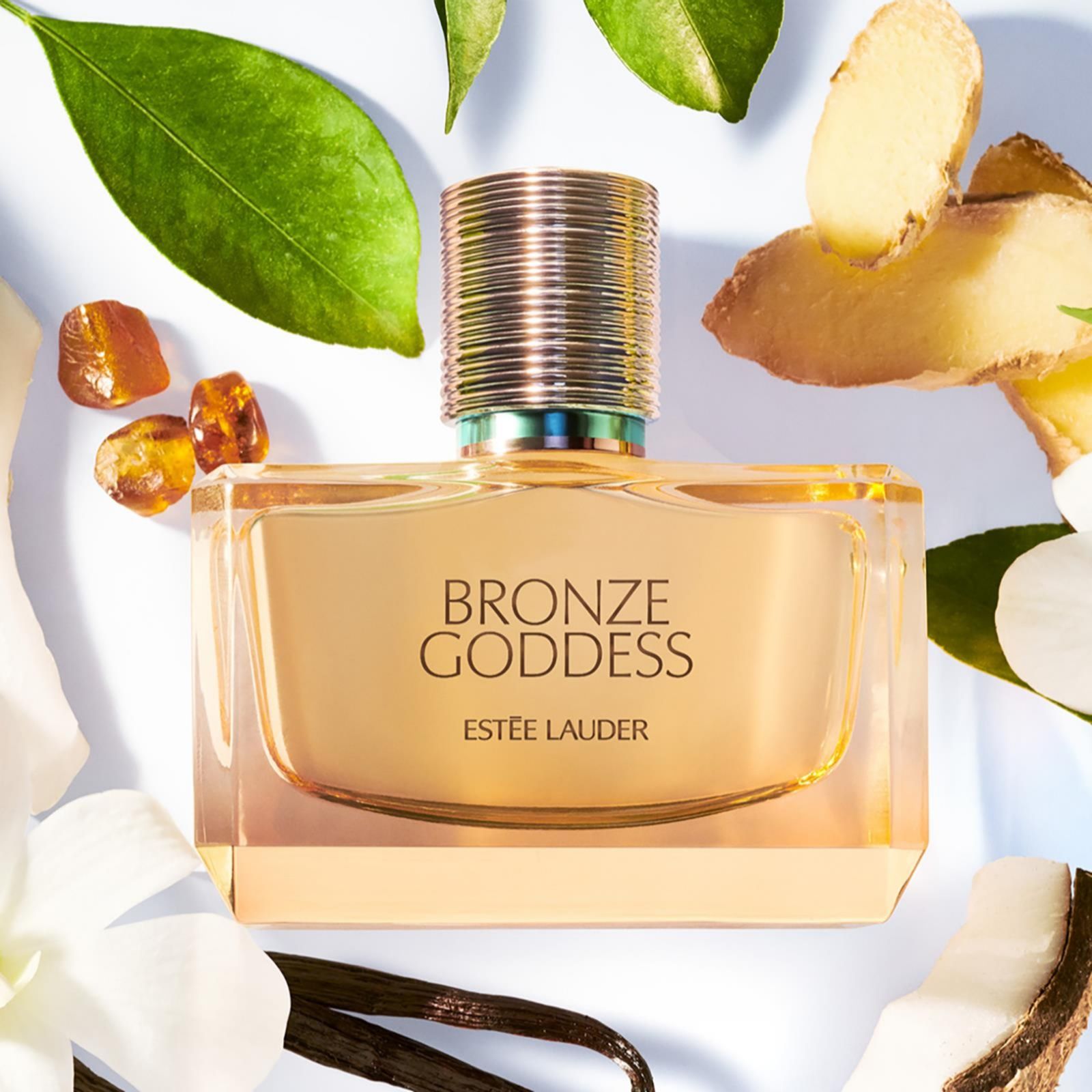 boxed fragrance image