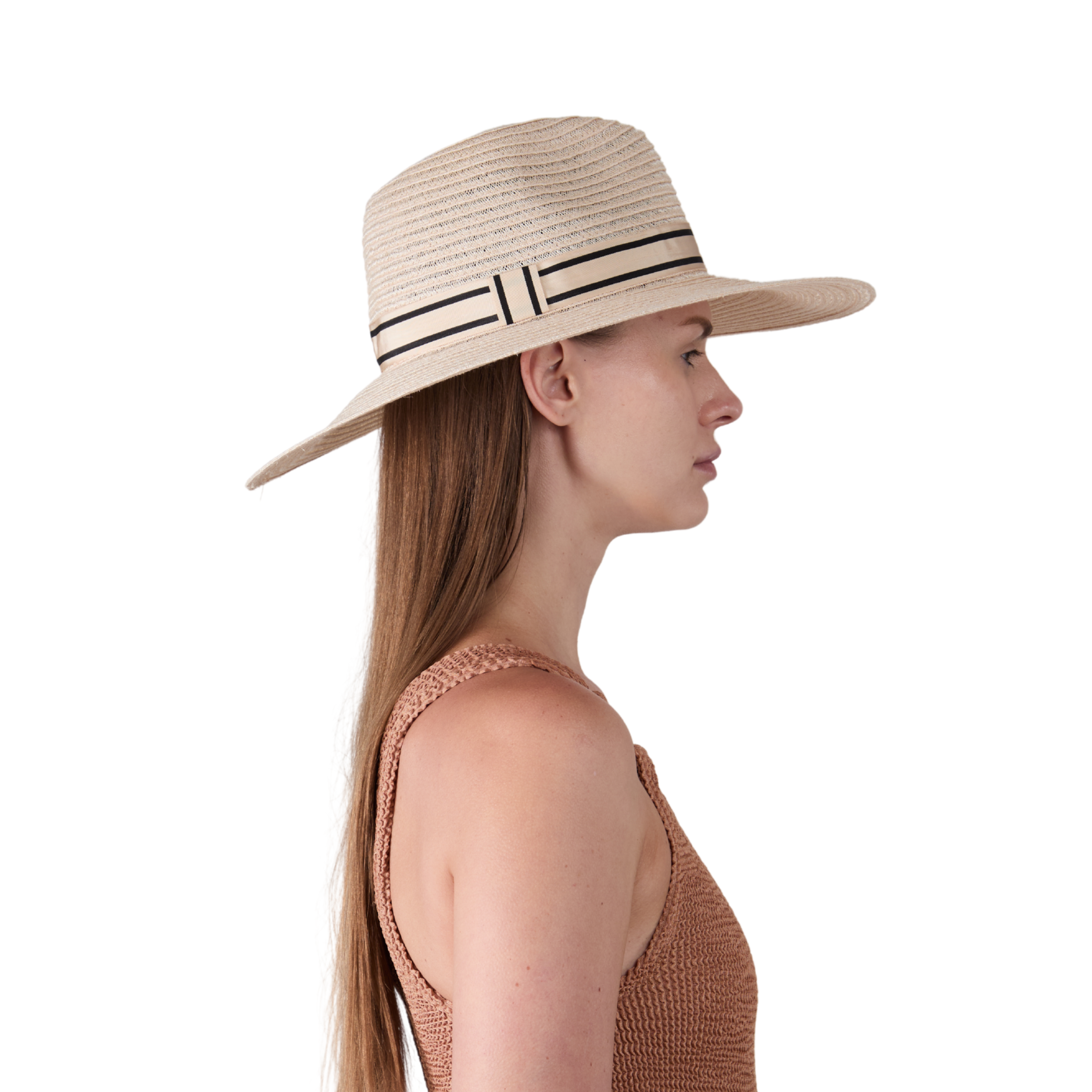 brim view