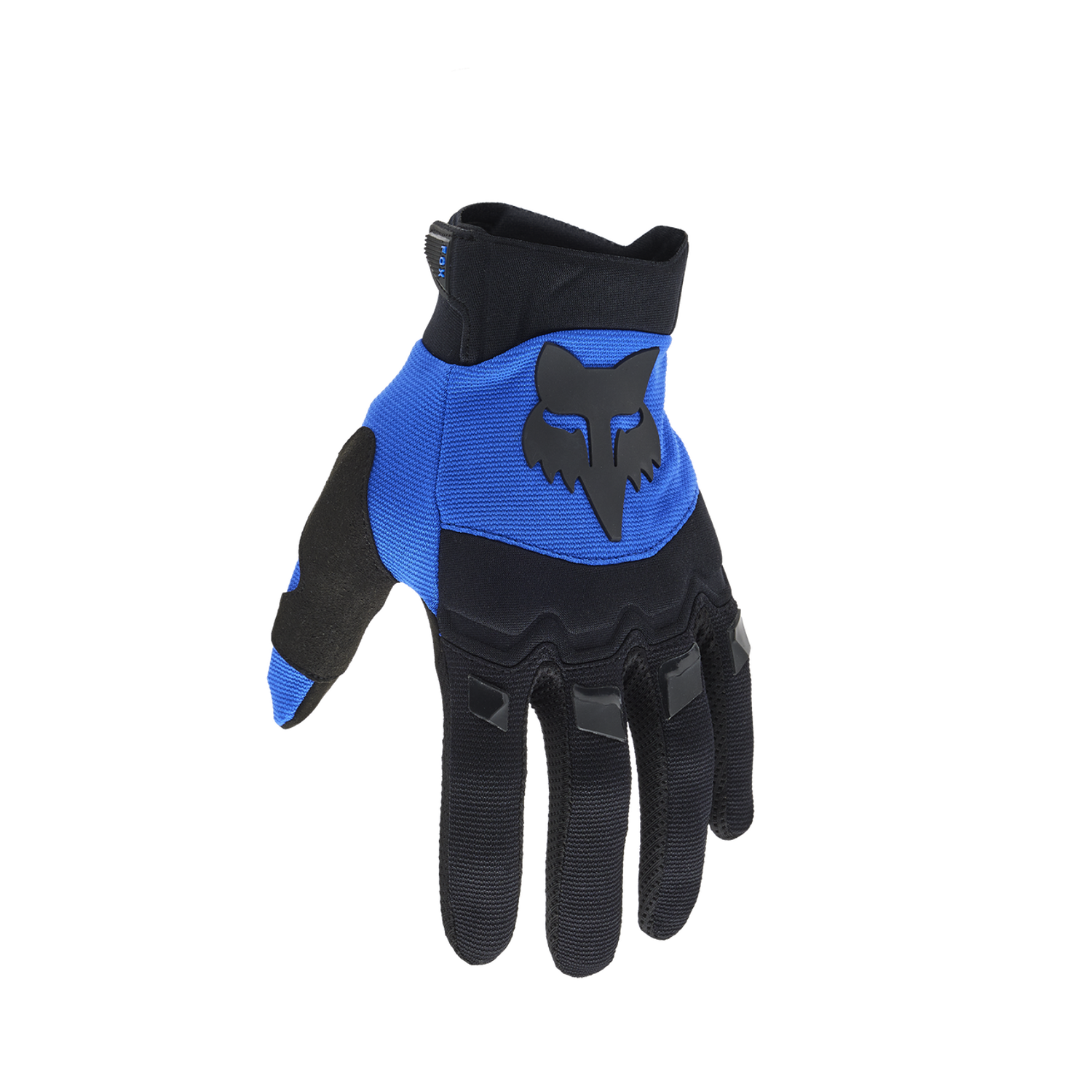 blue-black front view