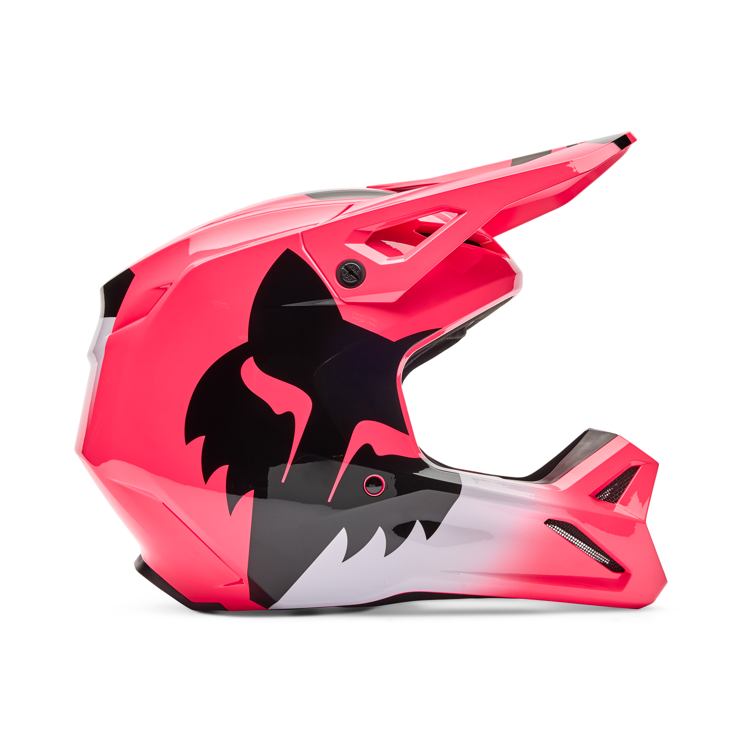 front shell view