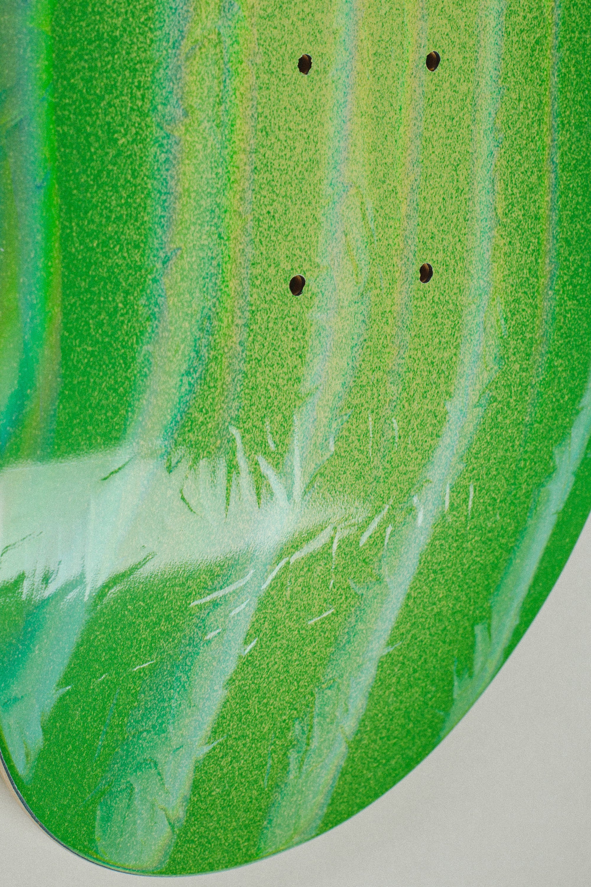 detail closeup