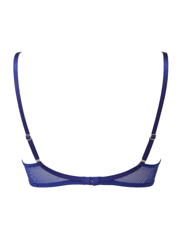 blue back detail