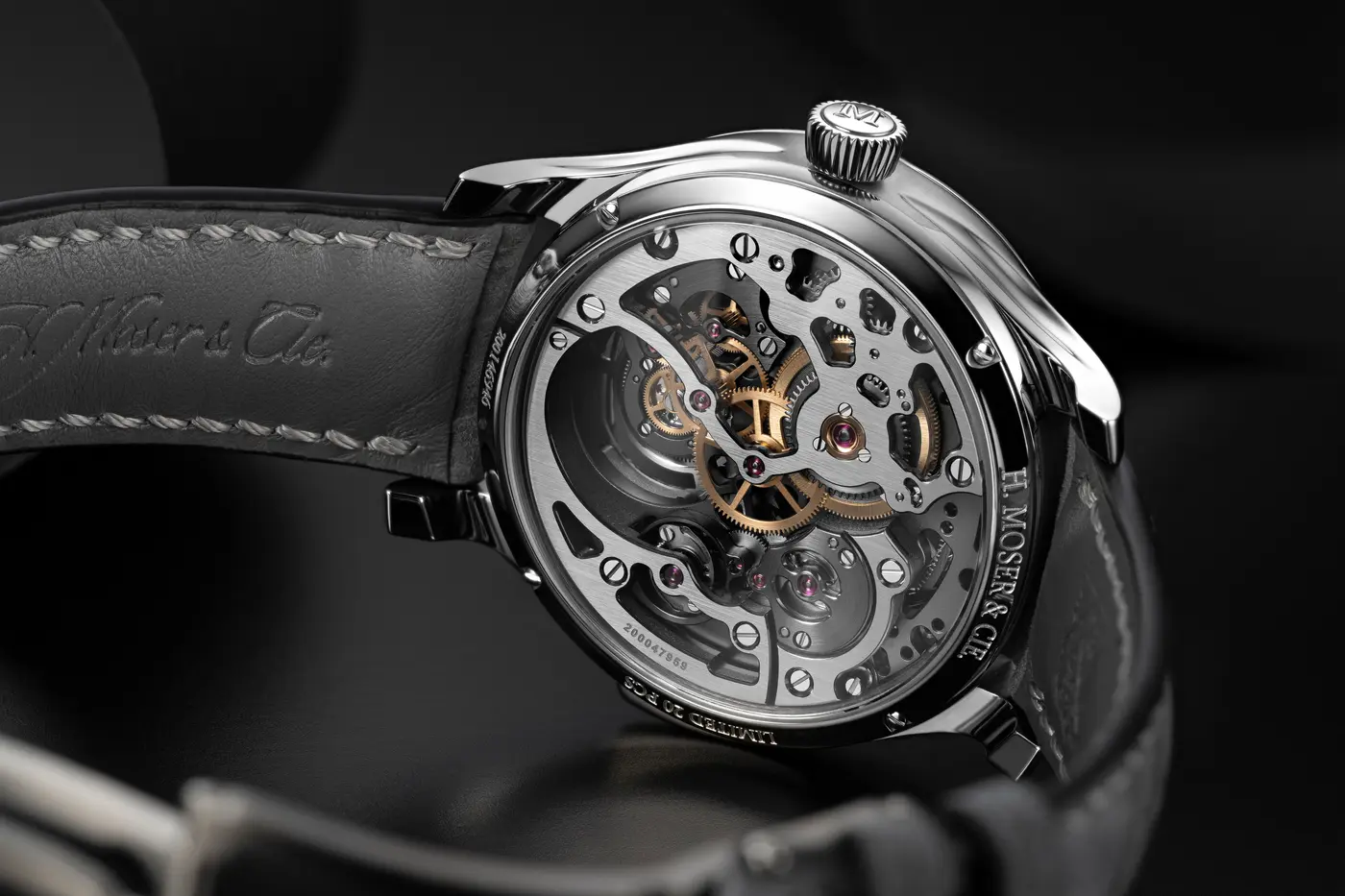 official caseback view