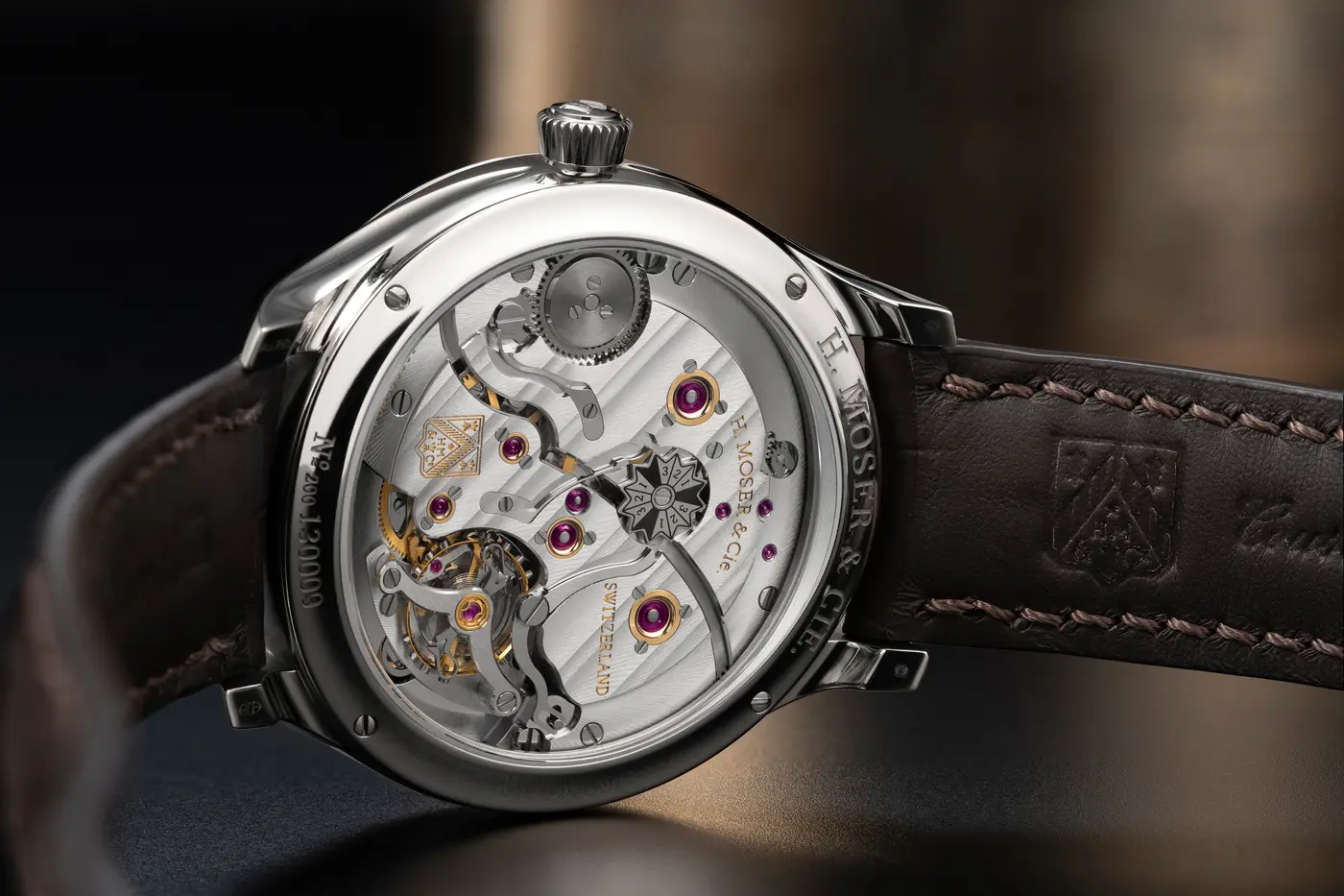 official caseback view