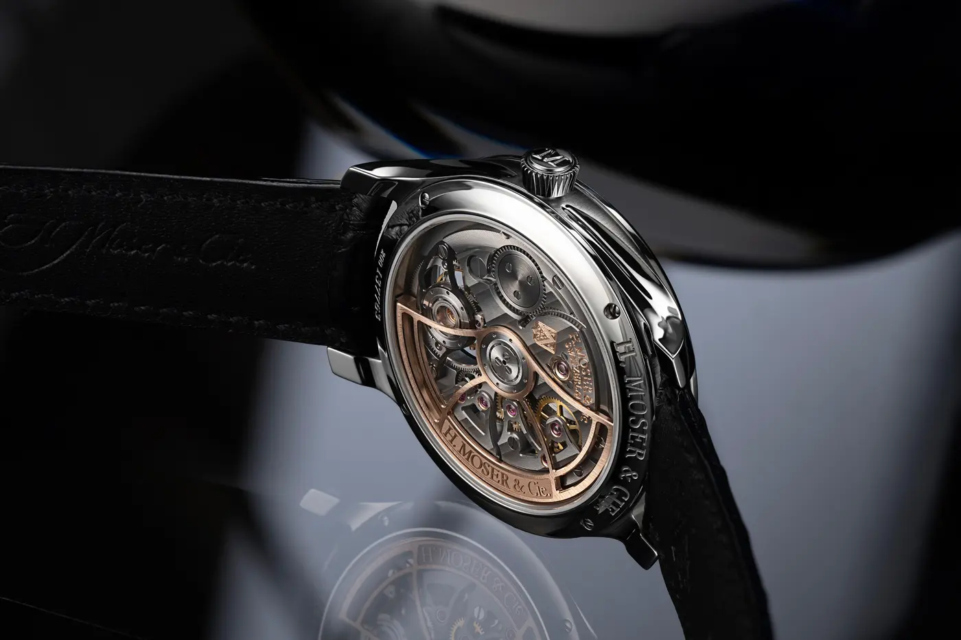 official caseback view