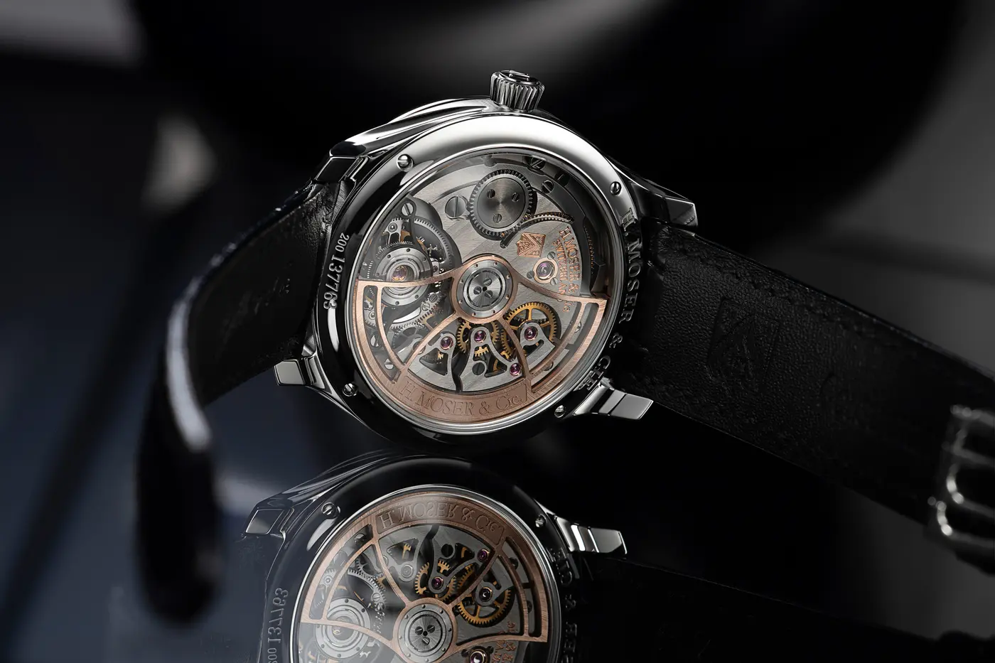official caseback view
