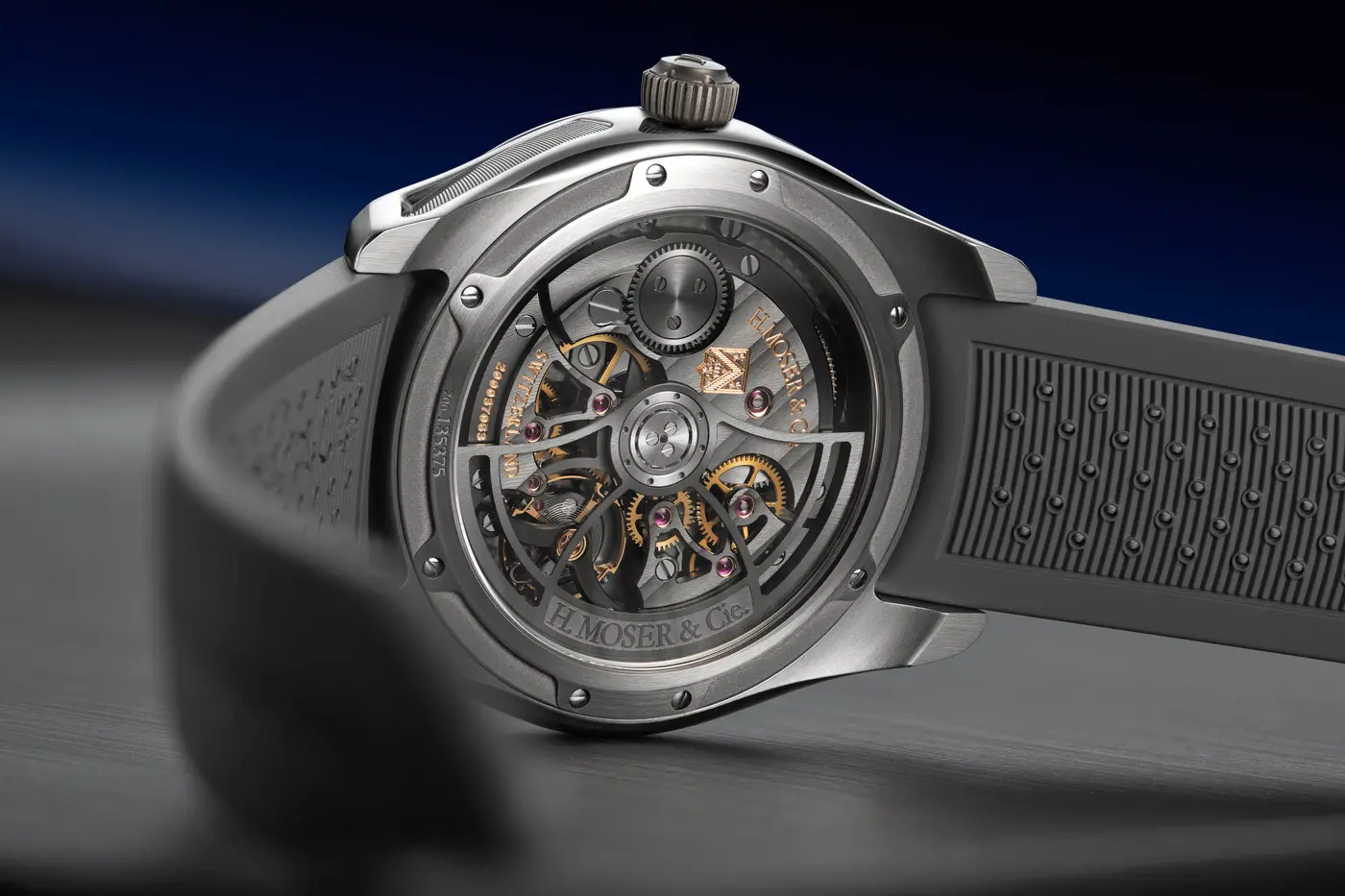 official caseback view