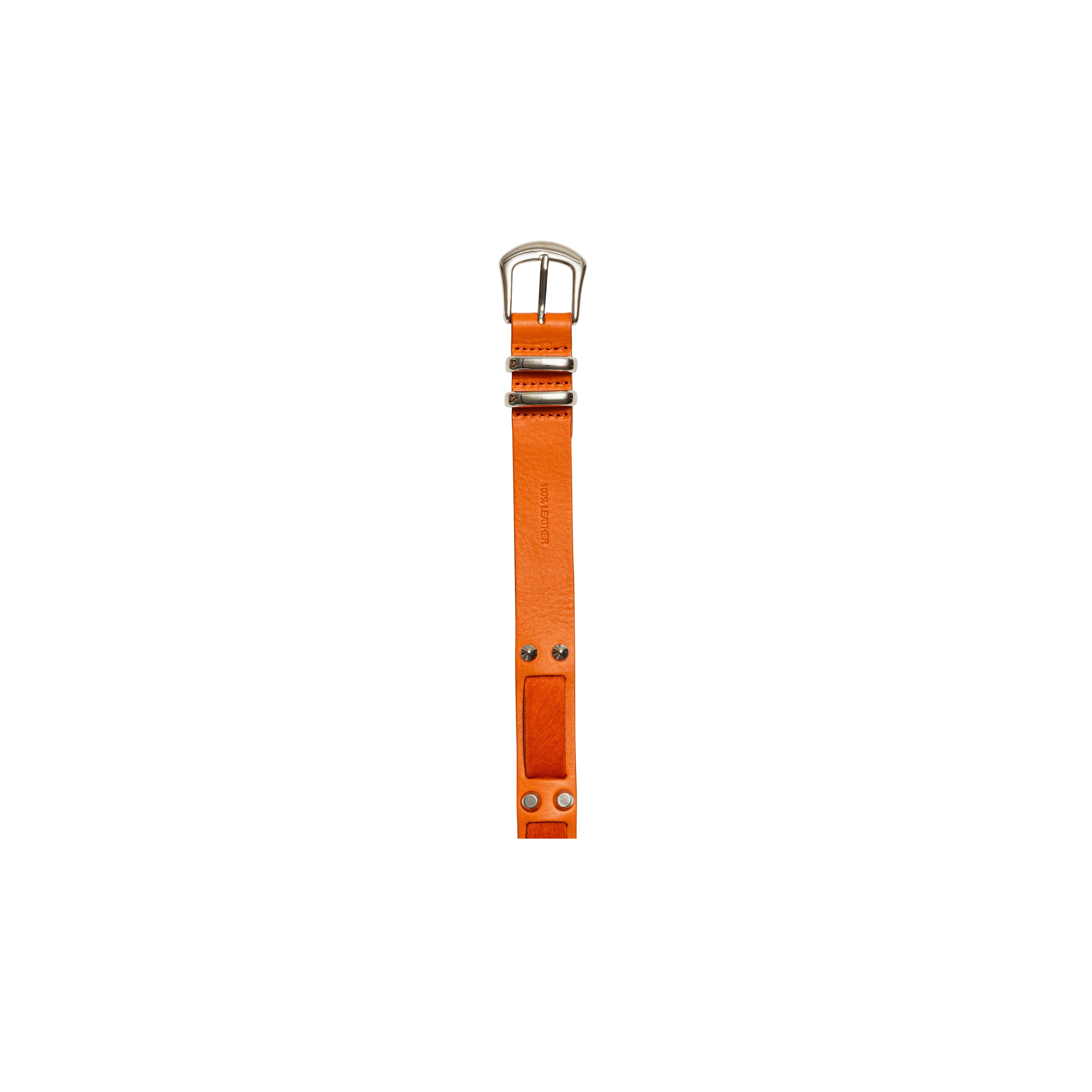 alternate angle showing proportion and volume
