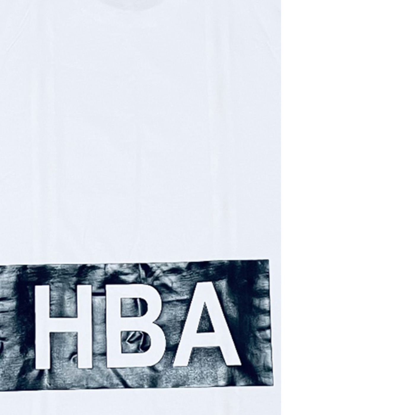 Back graphic crop — the spine panel