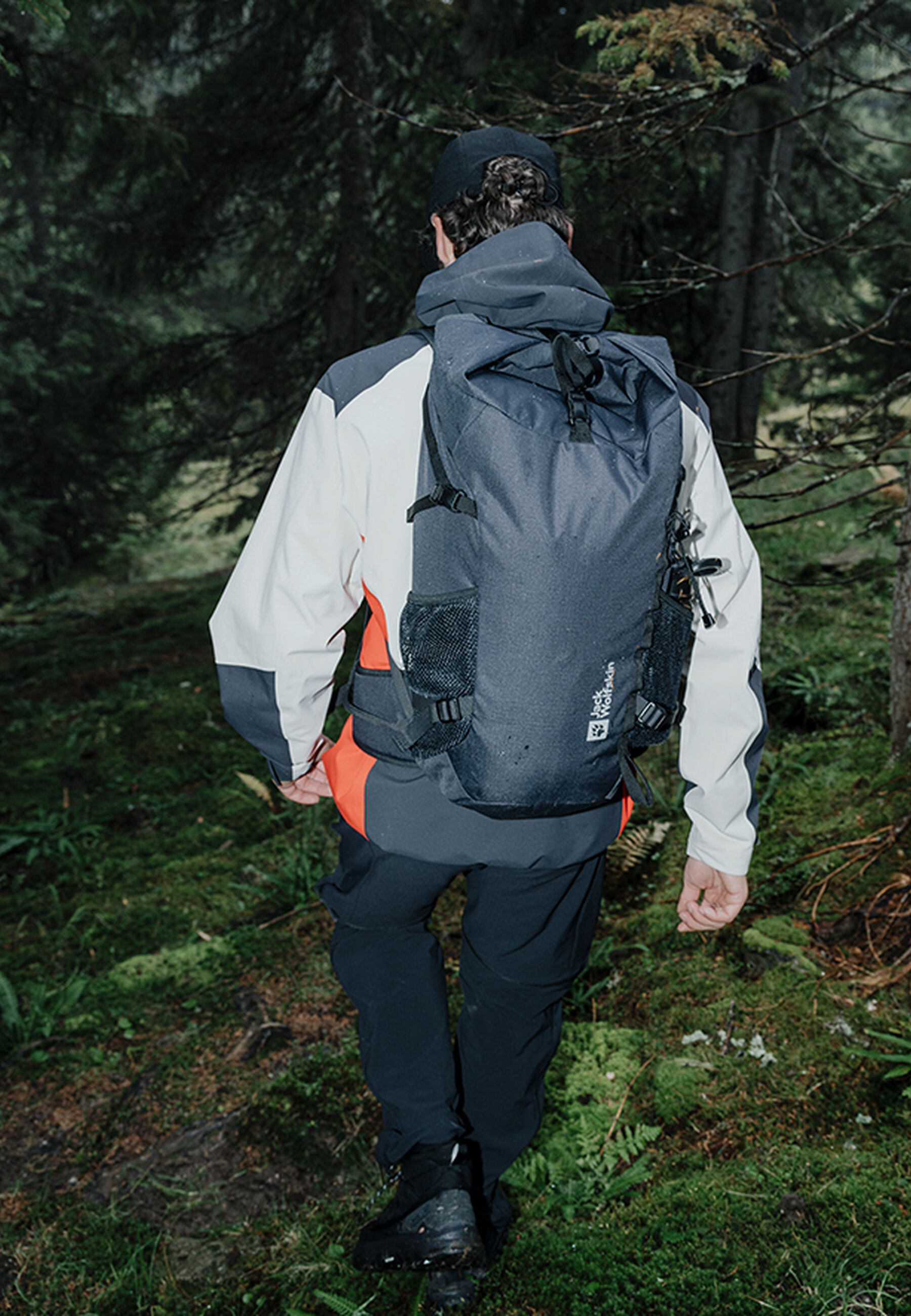 Trail carry view in the forest