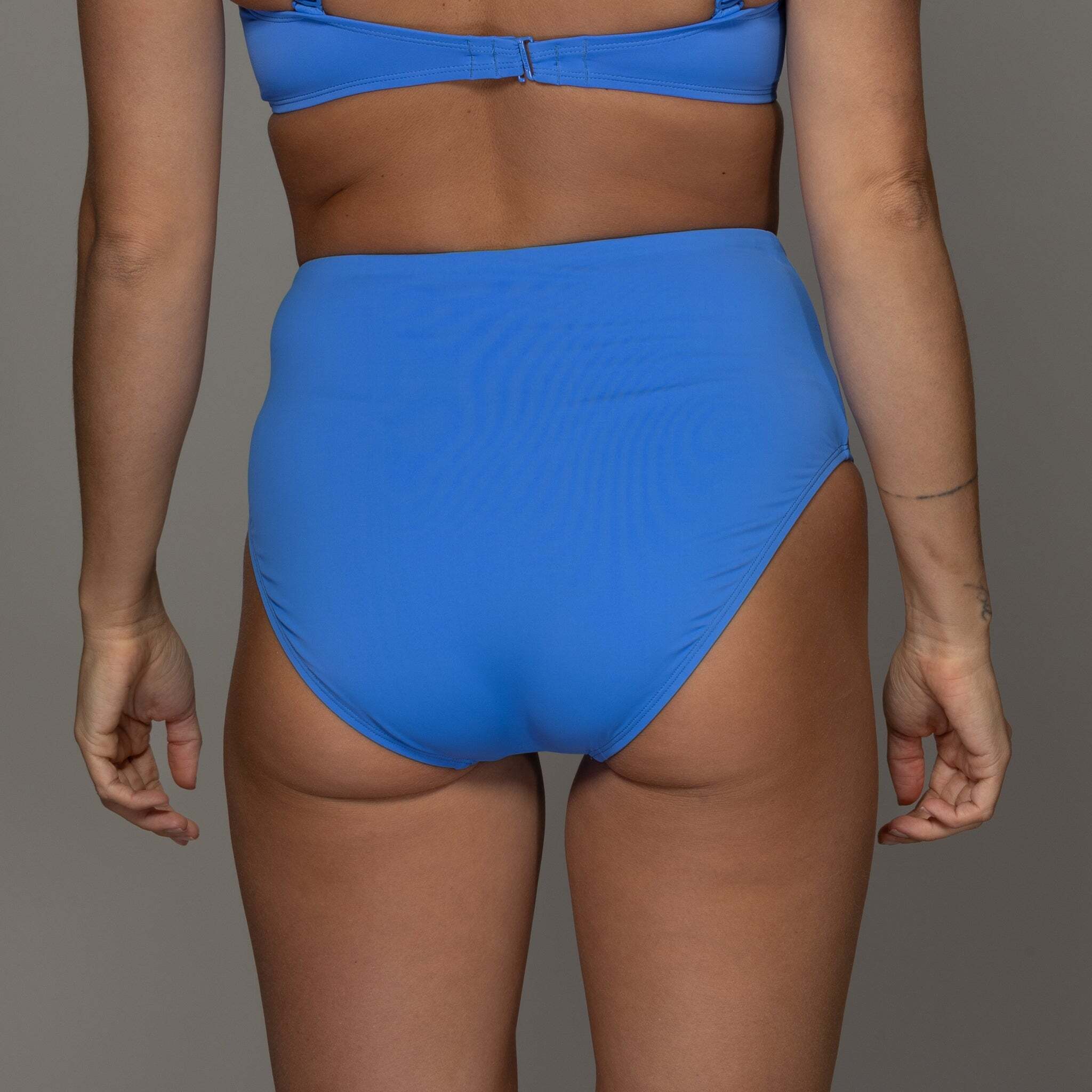 cornflower back view