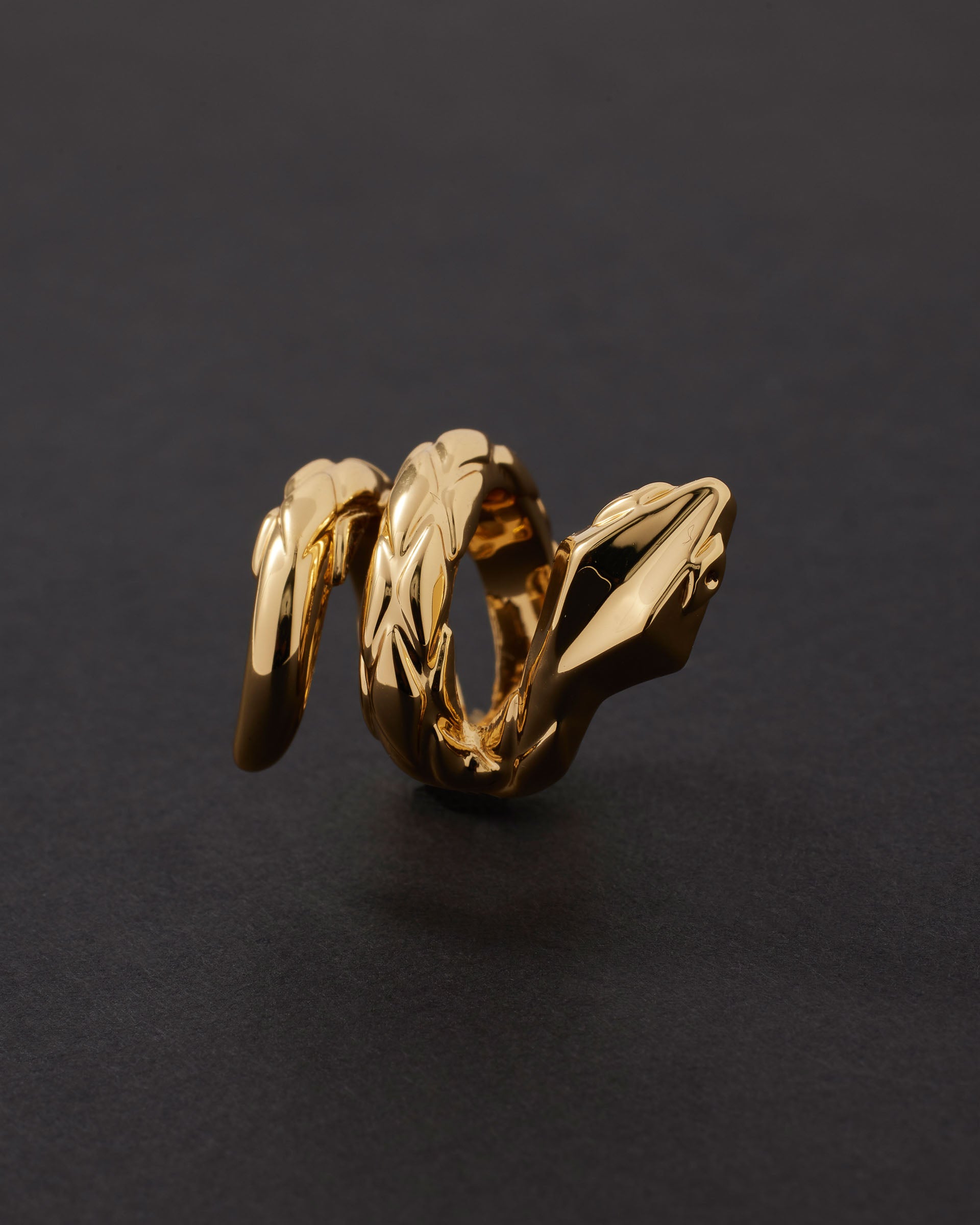 Angled detail emphasizing the ridged head and wrapped body