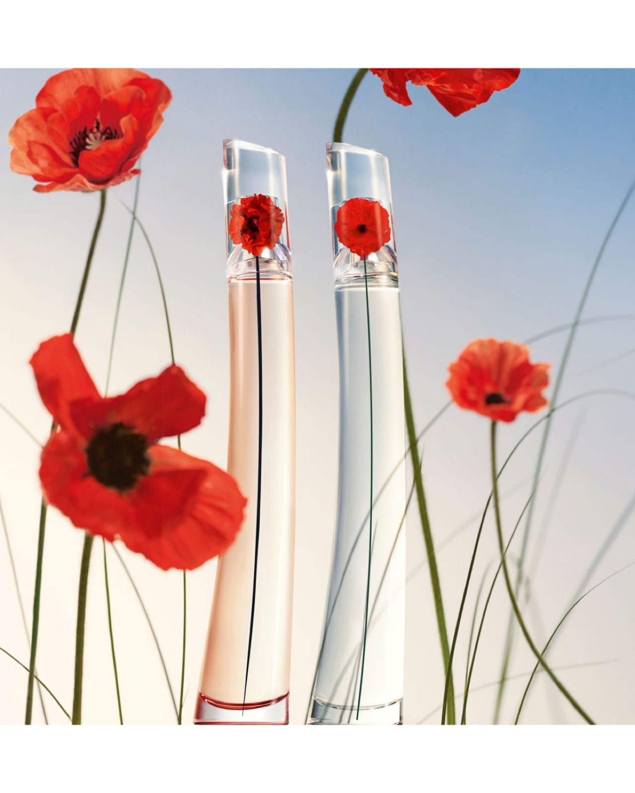 The bottles among real red poppies