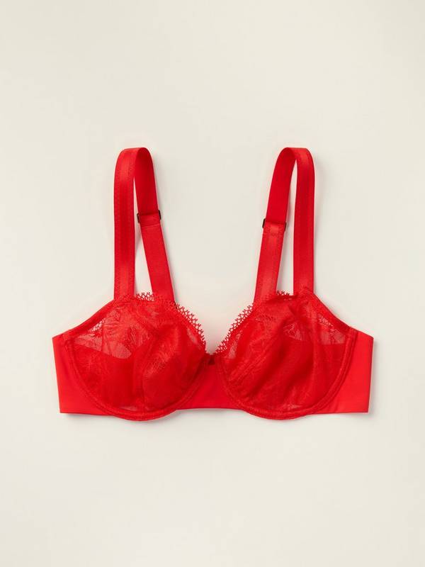 The Bird wire bra – Closely