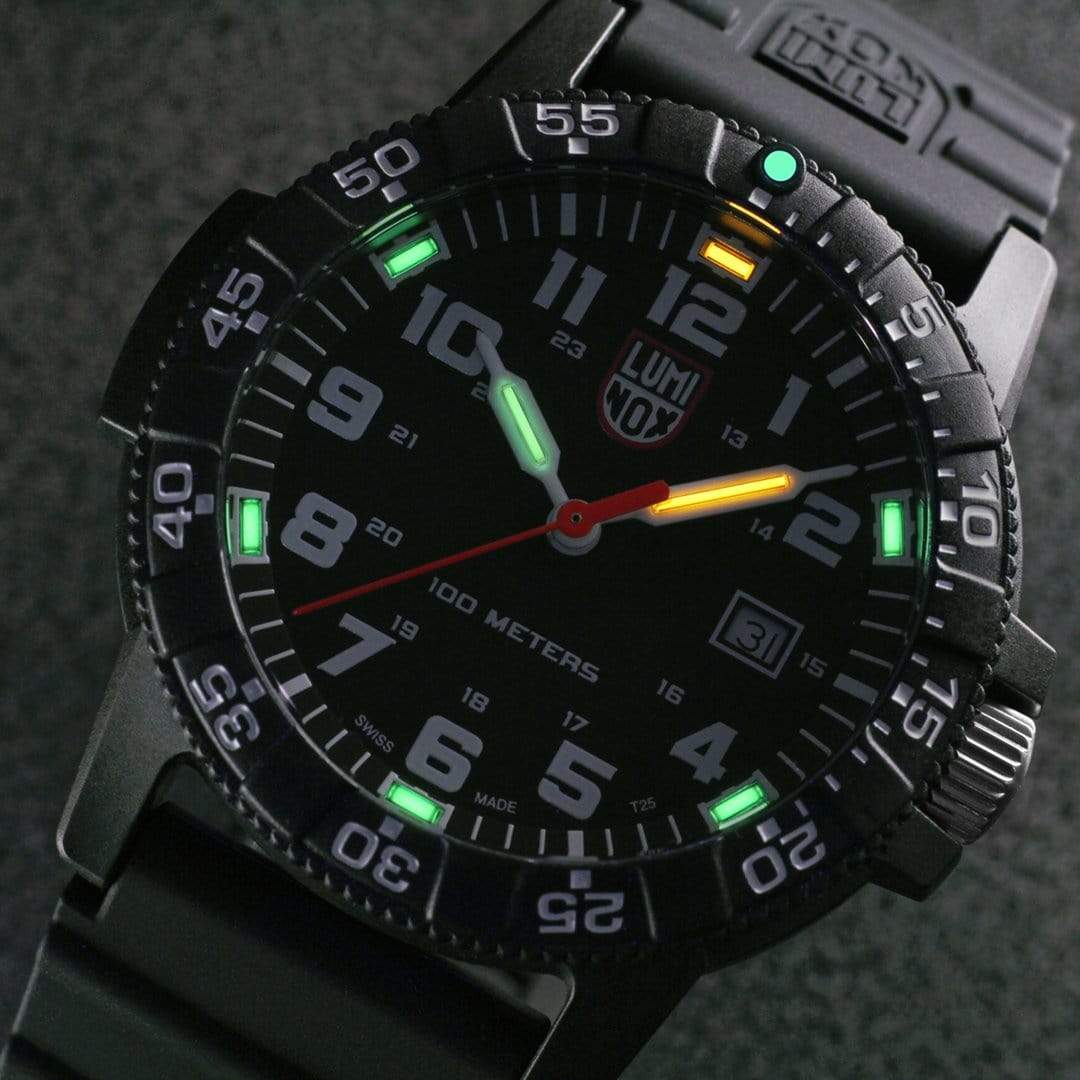 Caseback view