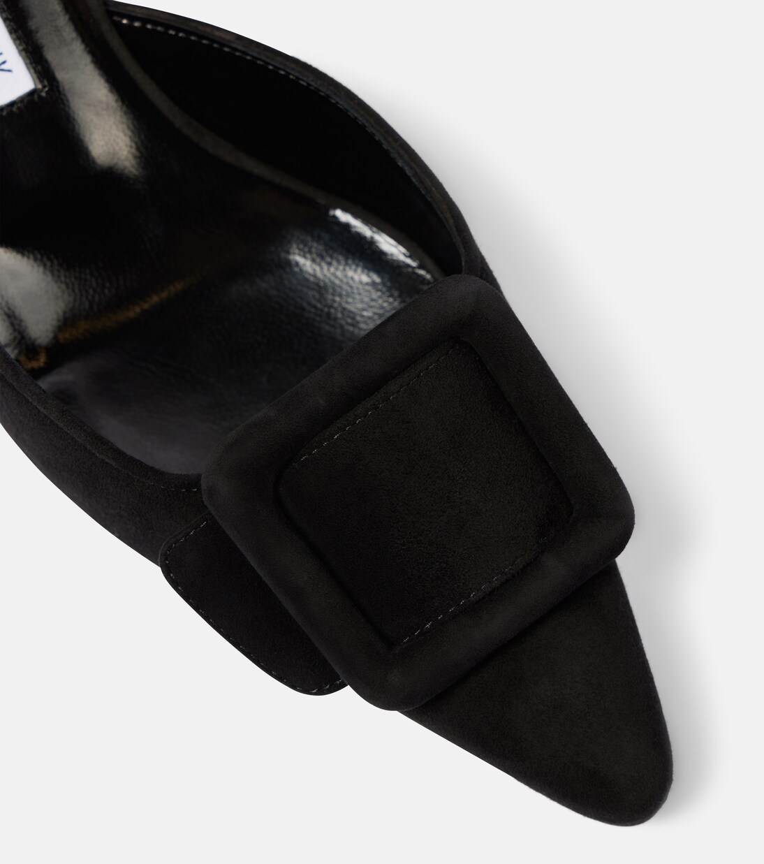 Close crop on the buckle and pointed toe