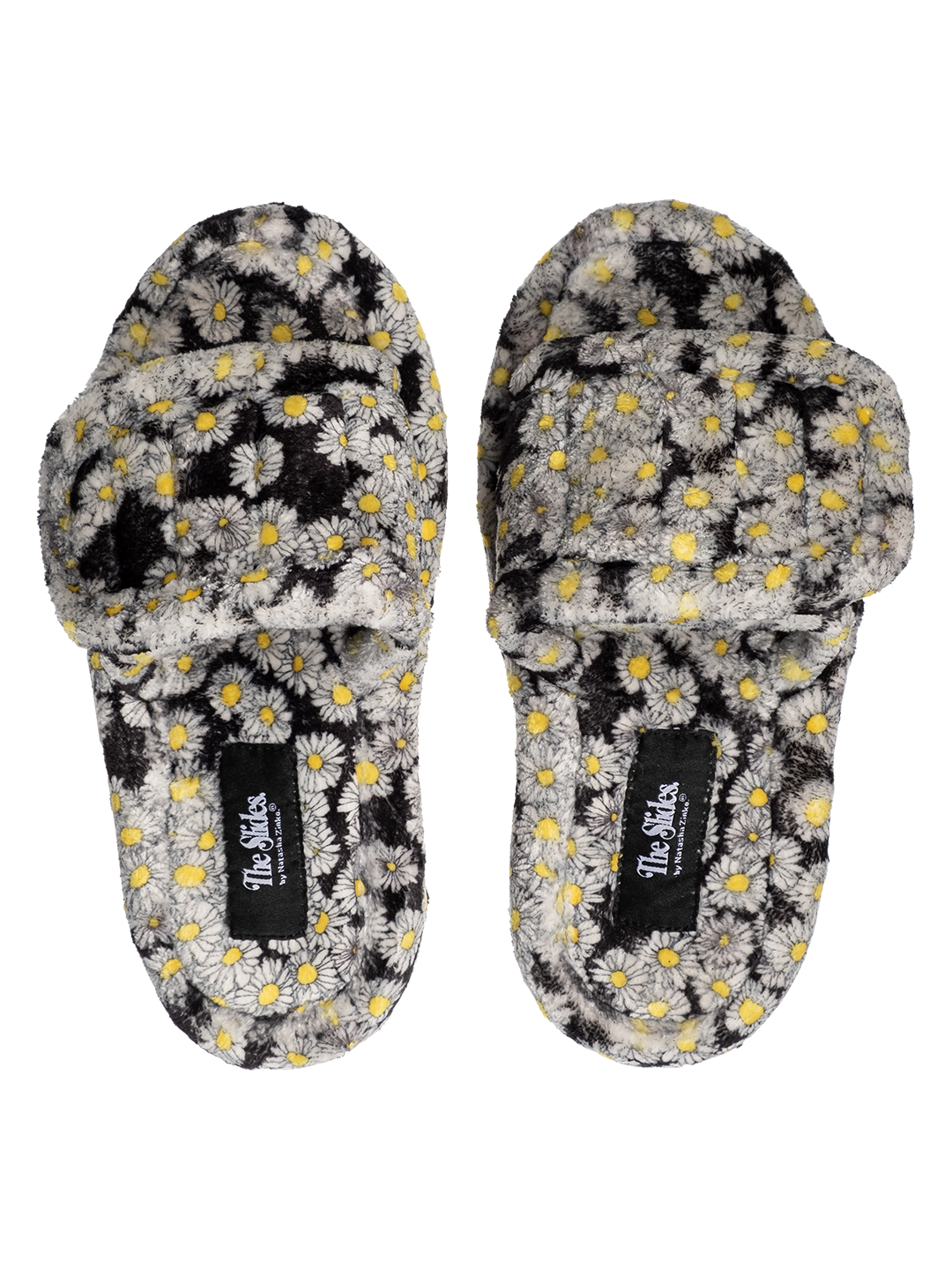 The Daisy Slides