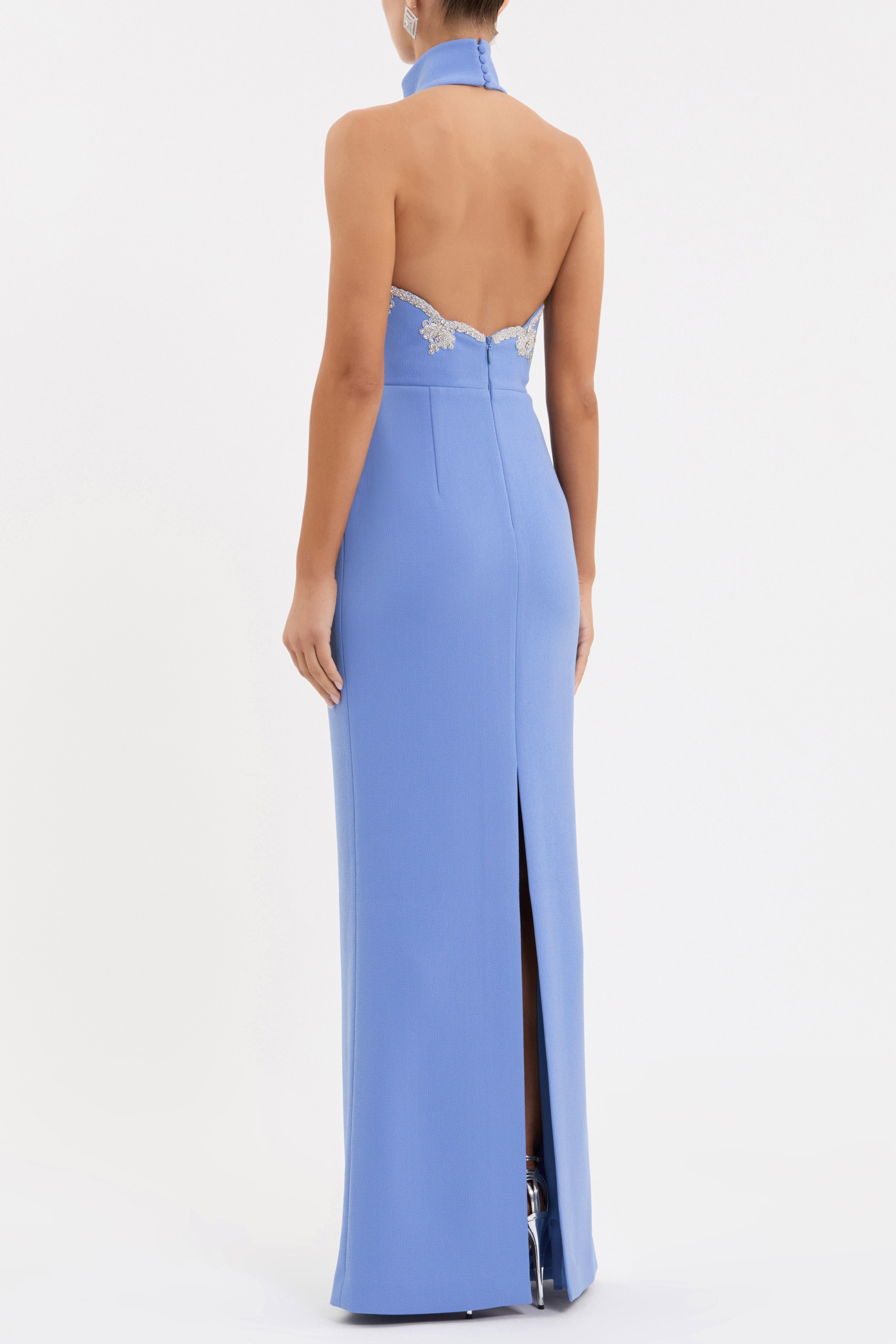 Back view