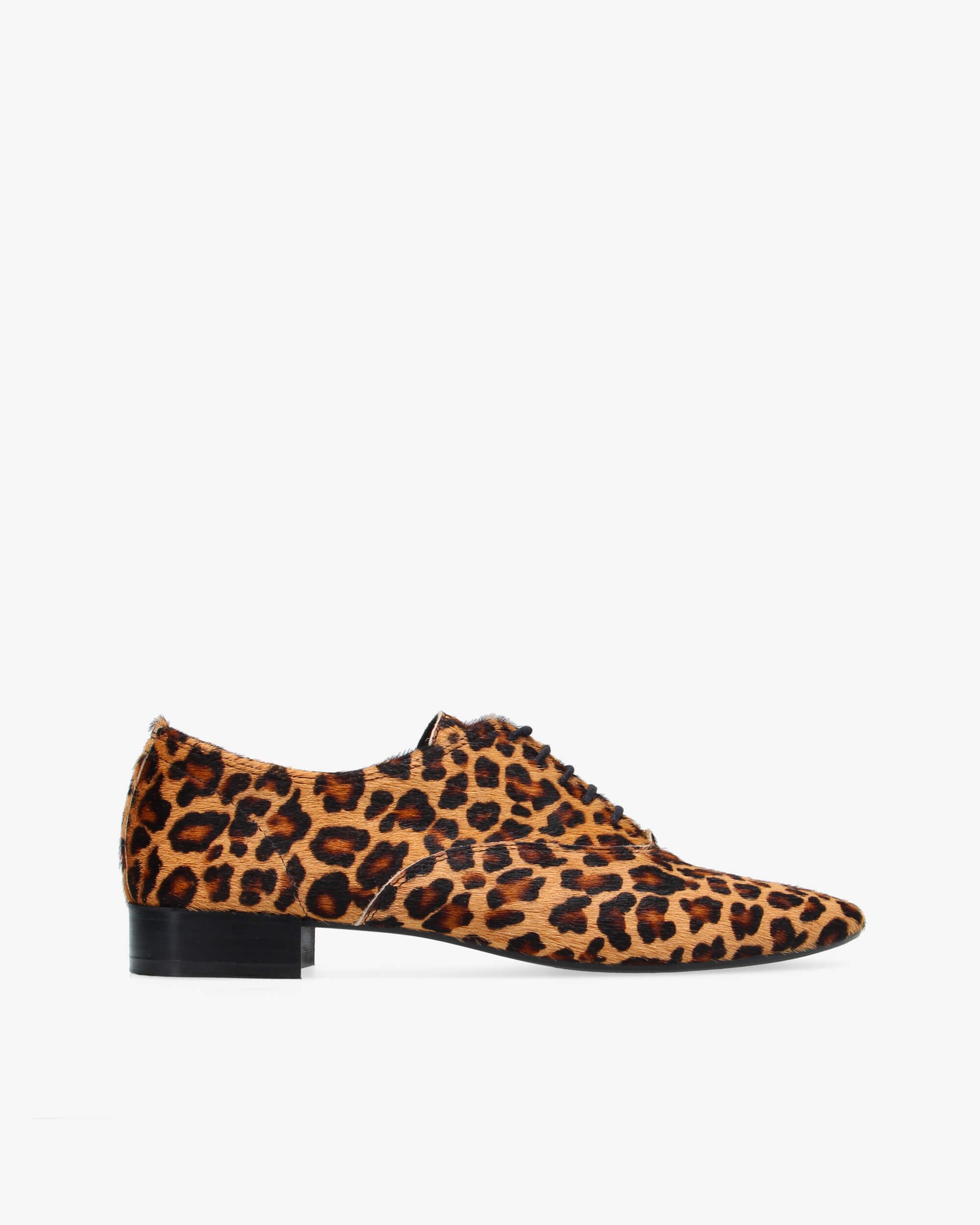 Leopard brown