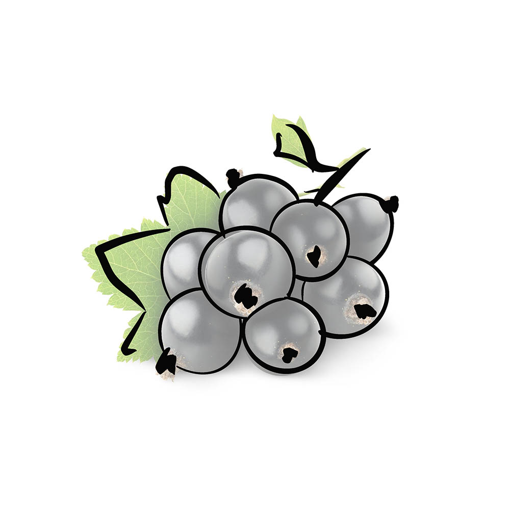 berry note