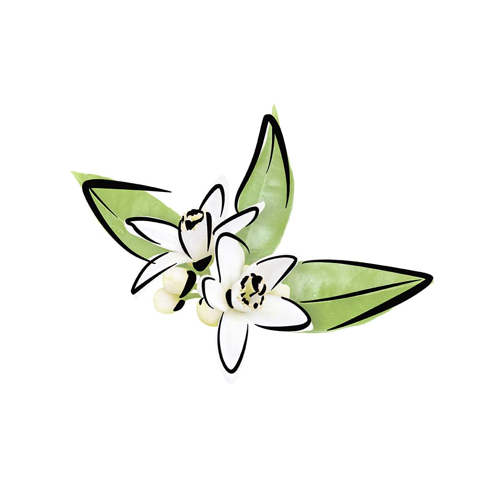 orange blossom