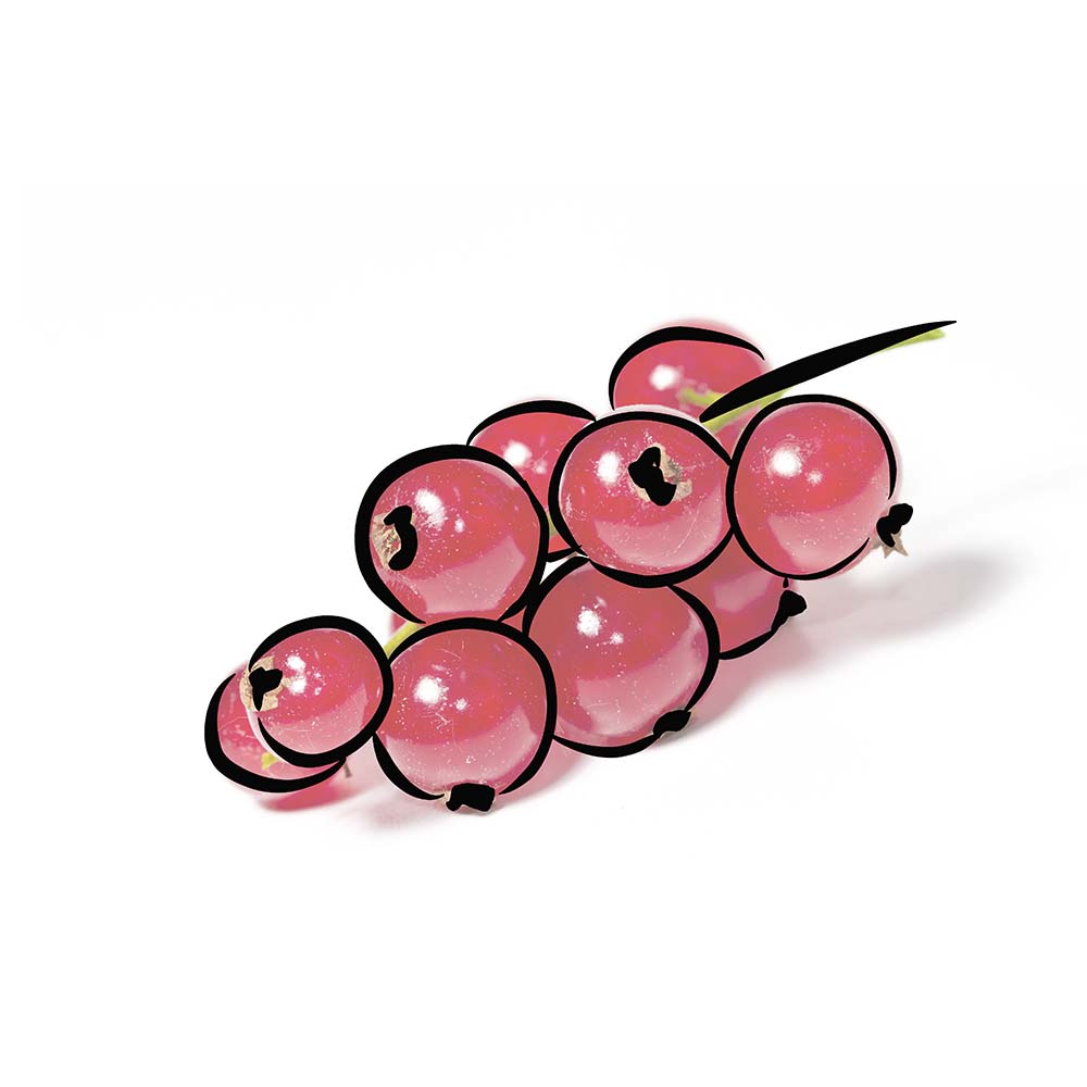 red currant