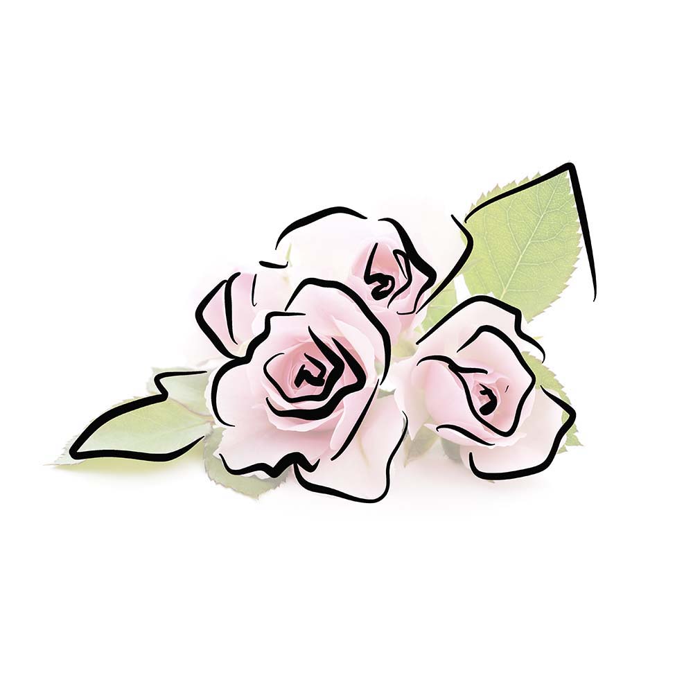rose