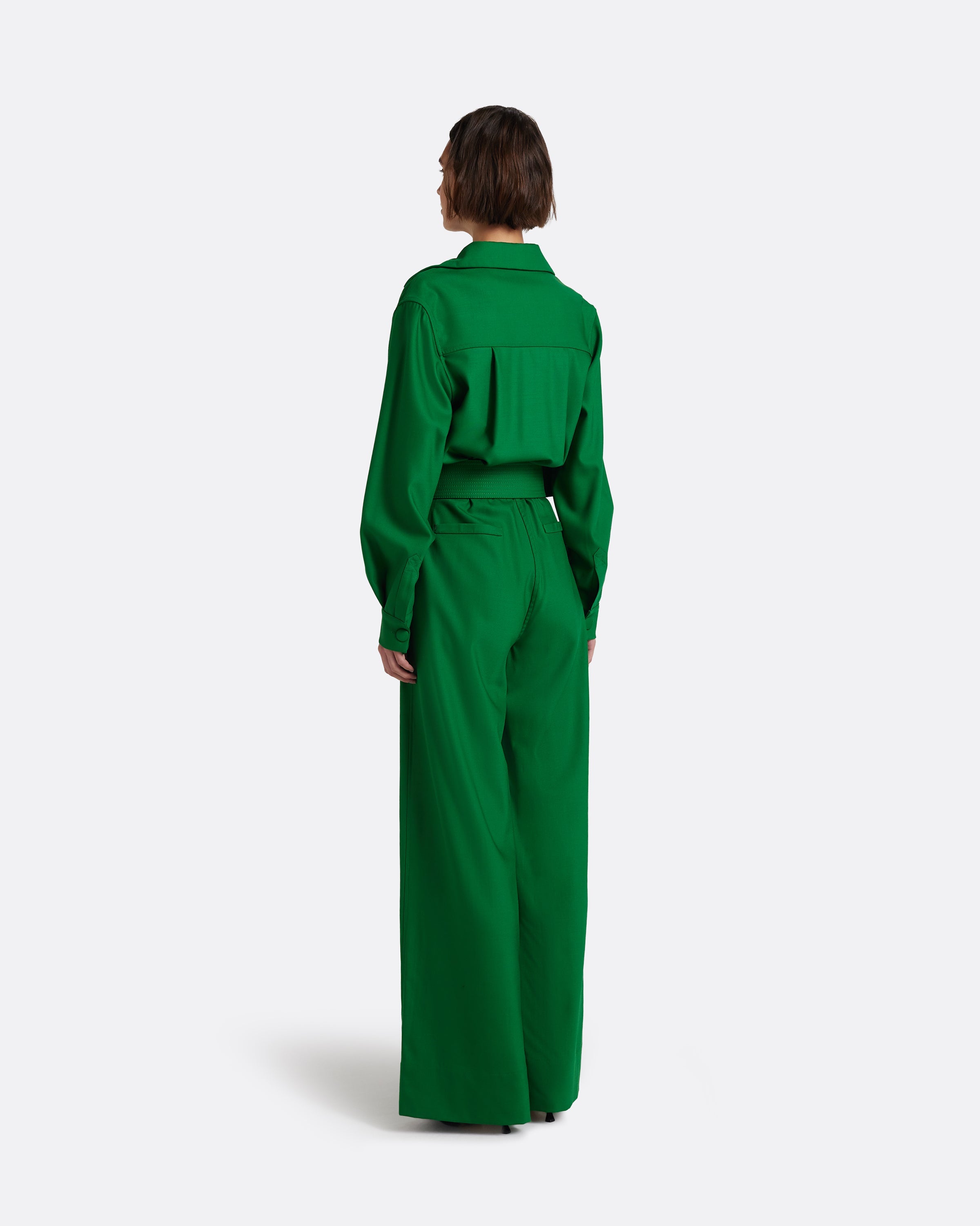 back view