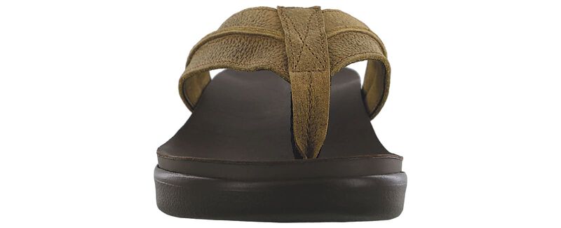 Stampede right front view