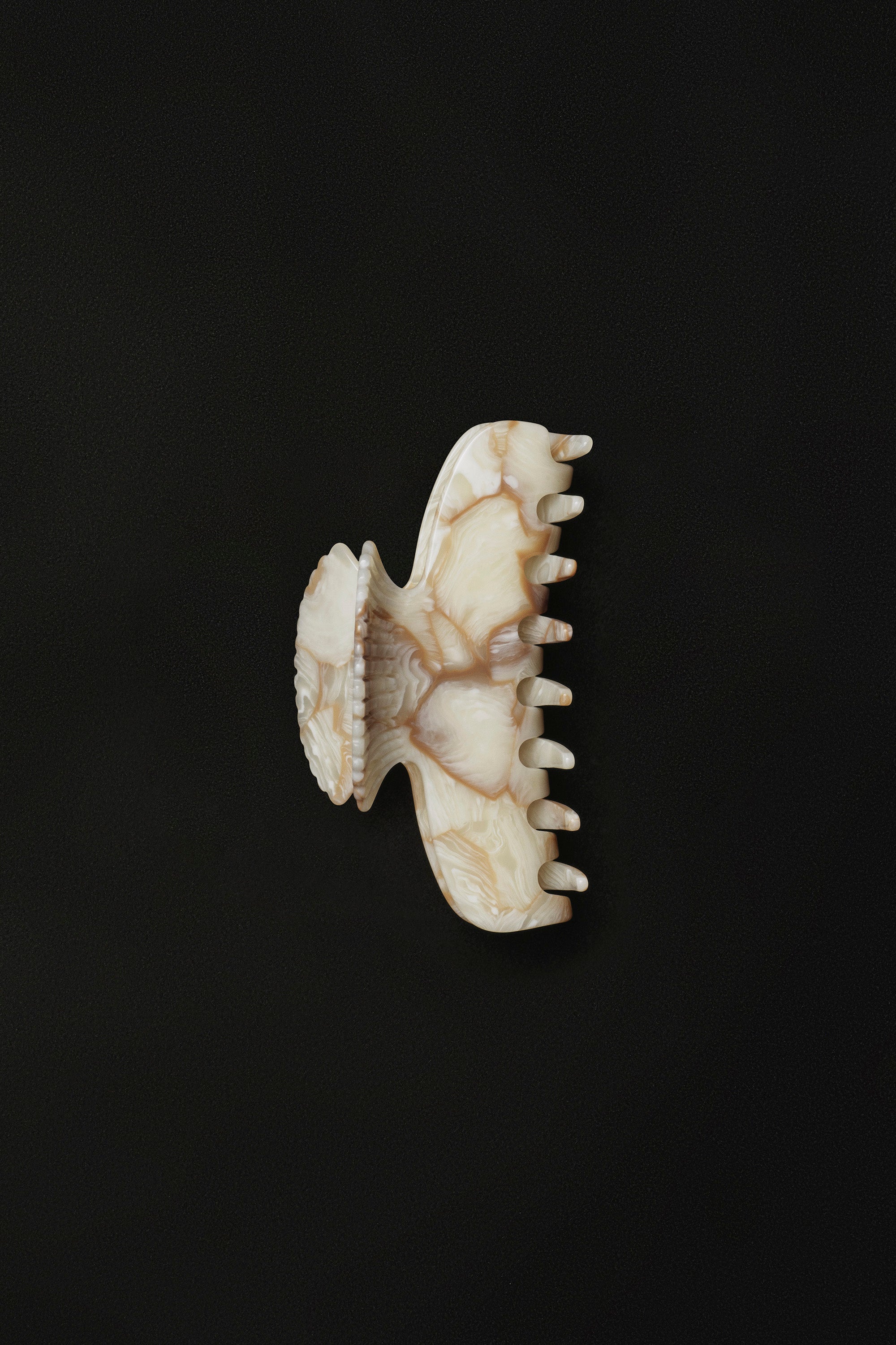 Fan Shell Claw