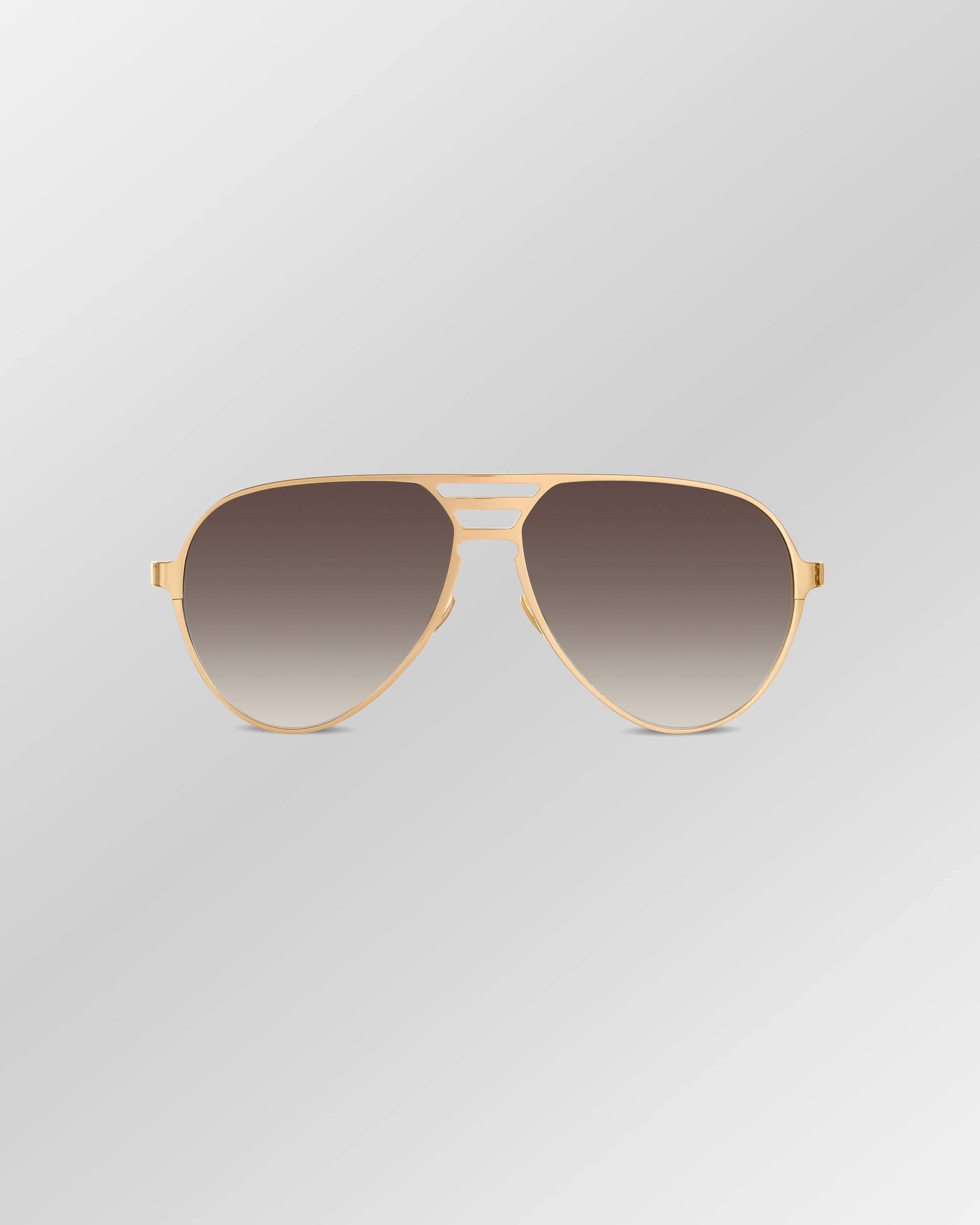 Eagle sunglasses