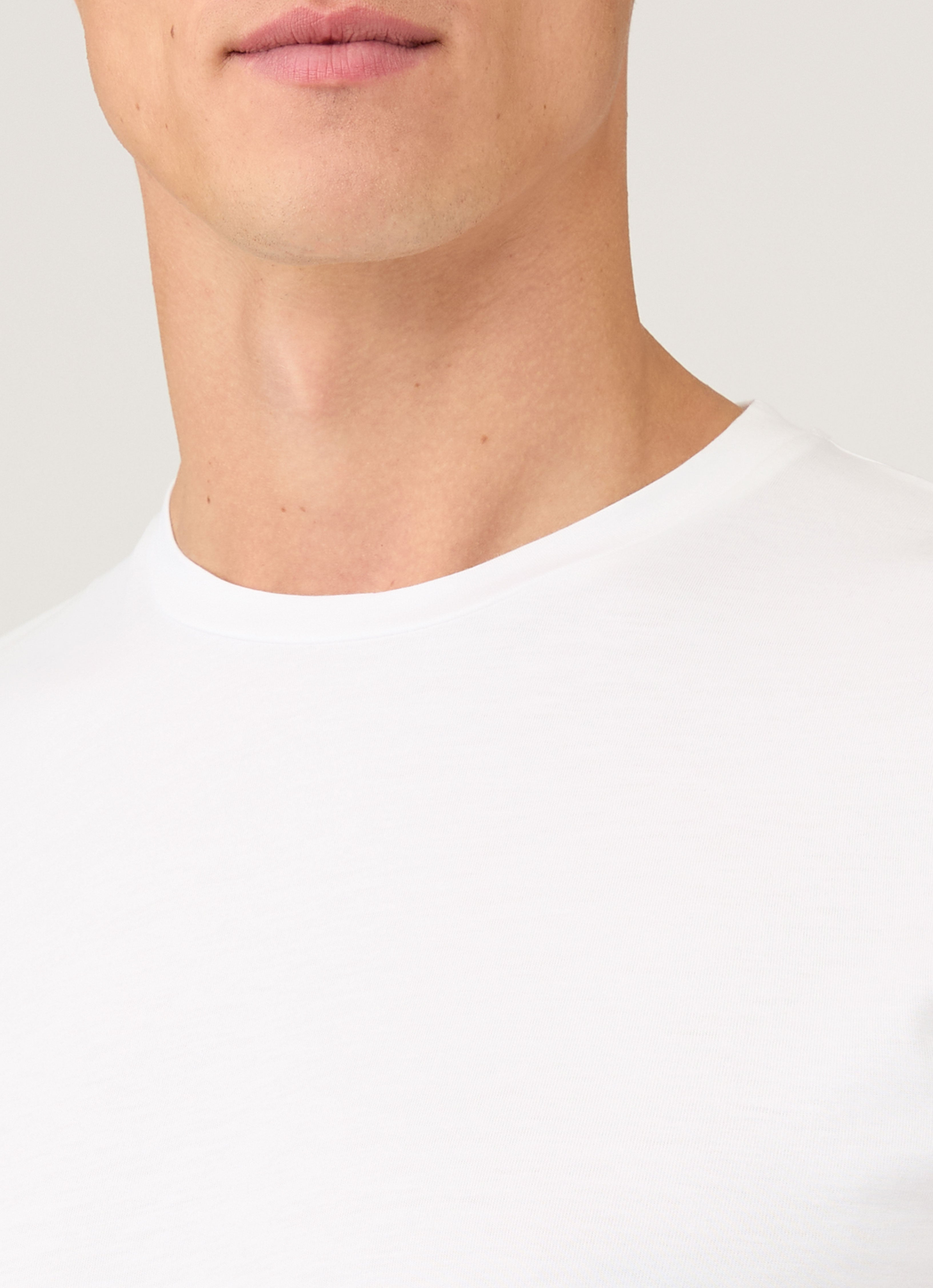 Collar close-up