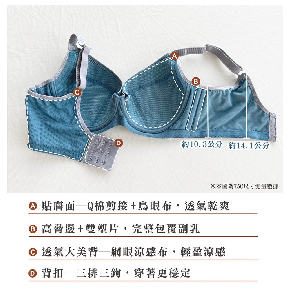 律洞感系列C-F罩軟鋼圈涼感運動女內衣(白茶棕)