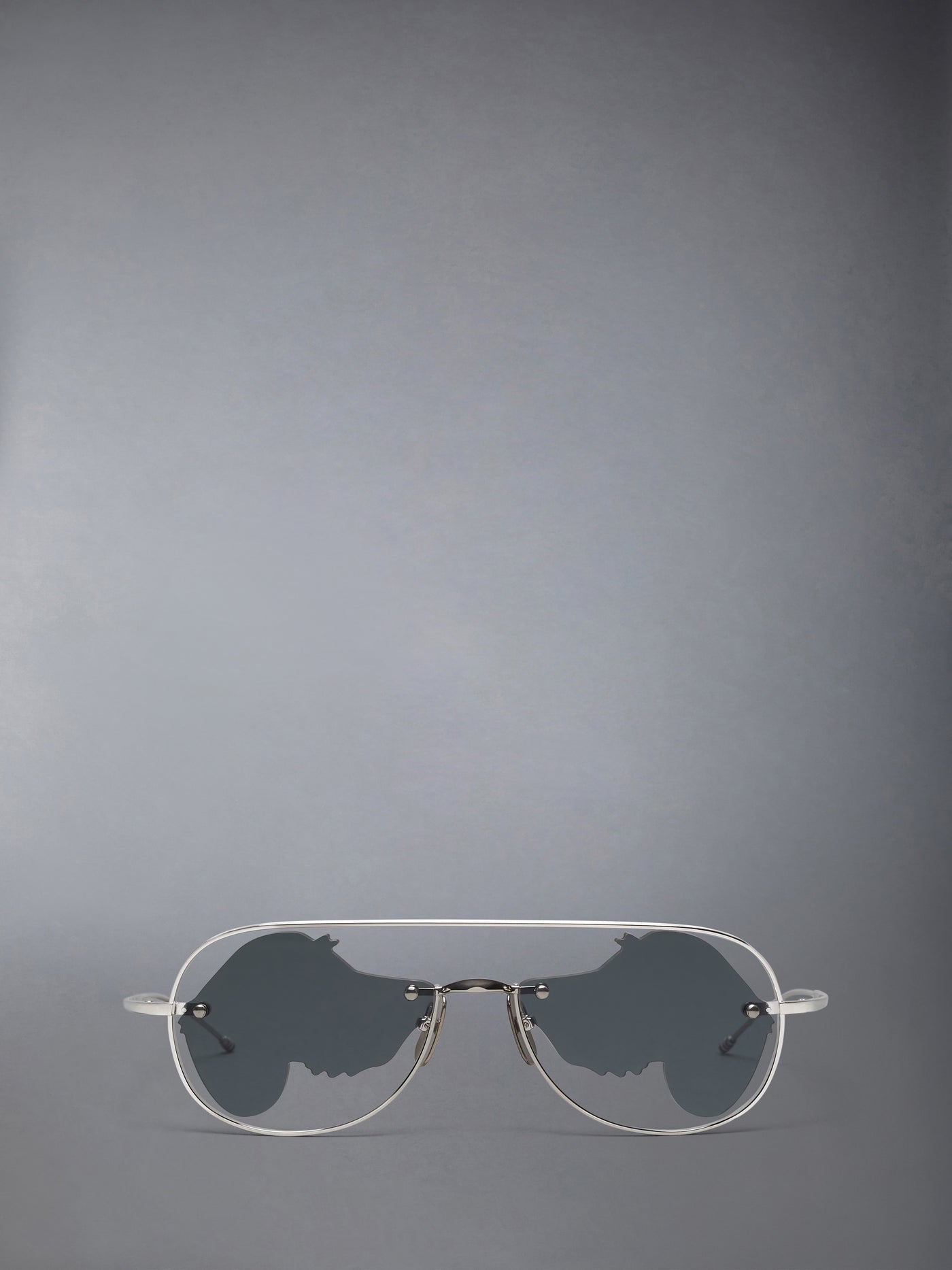 Titanium Hector Aviator Sunglasses