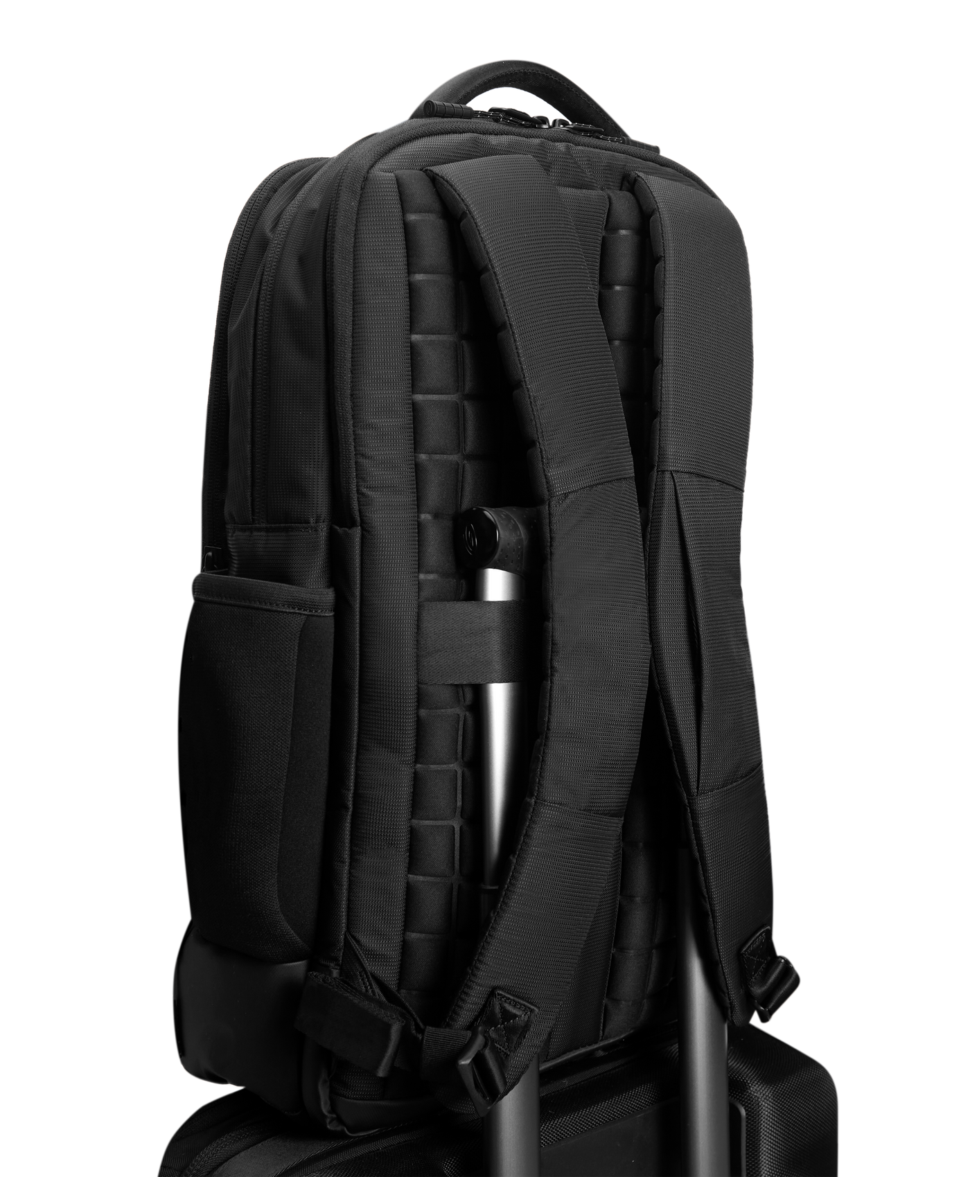 back view