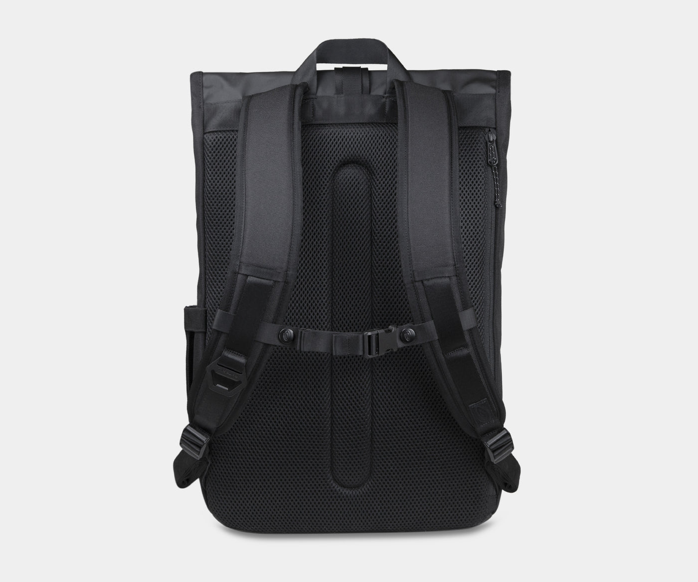 back view