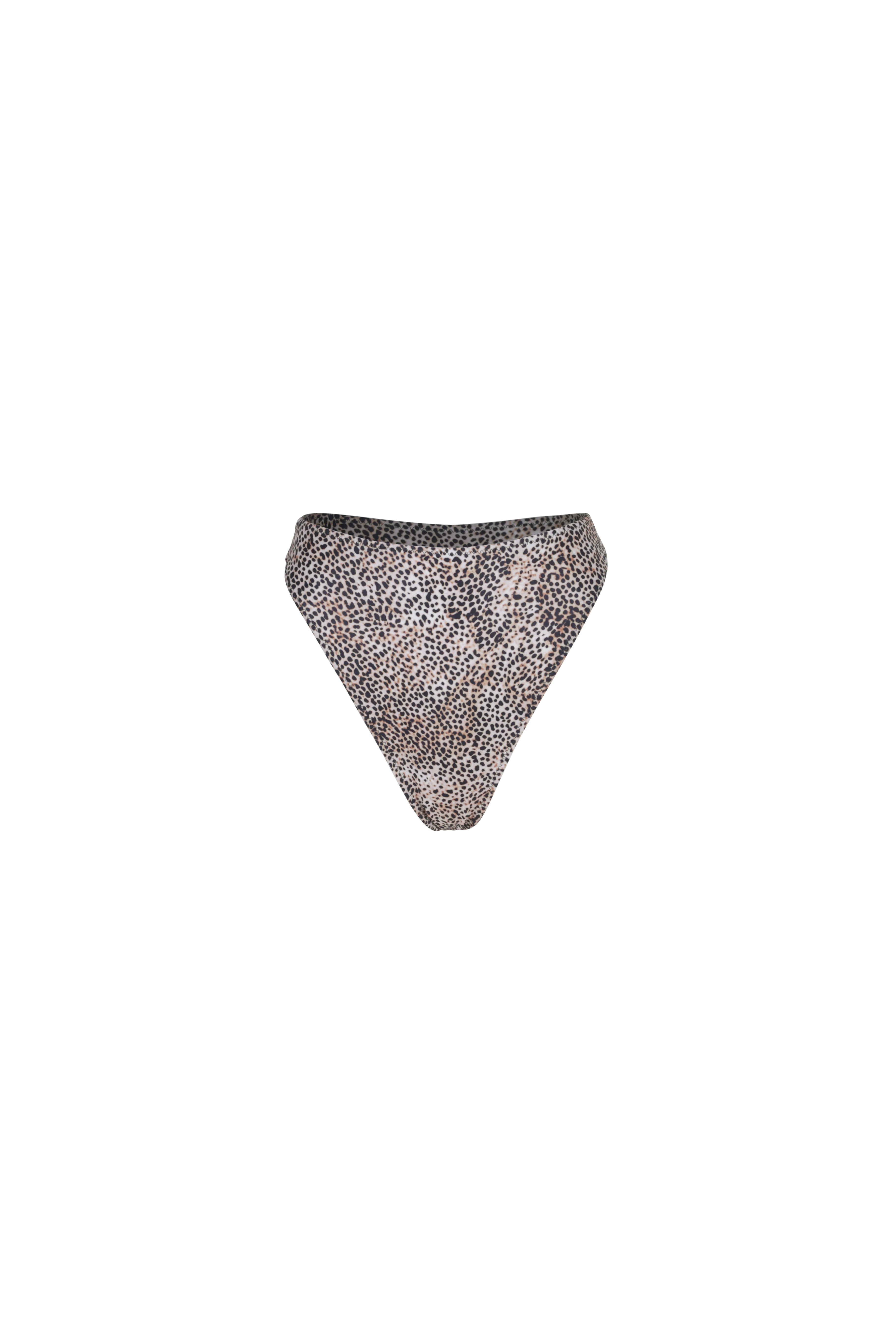 LEOPARD — Bottom back or side view