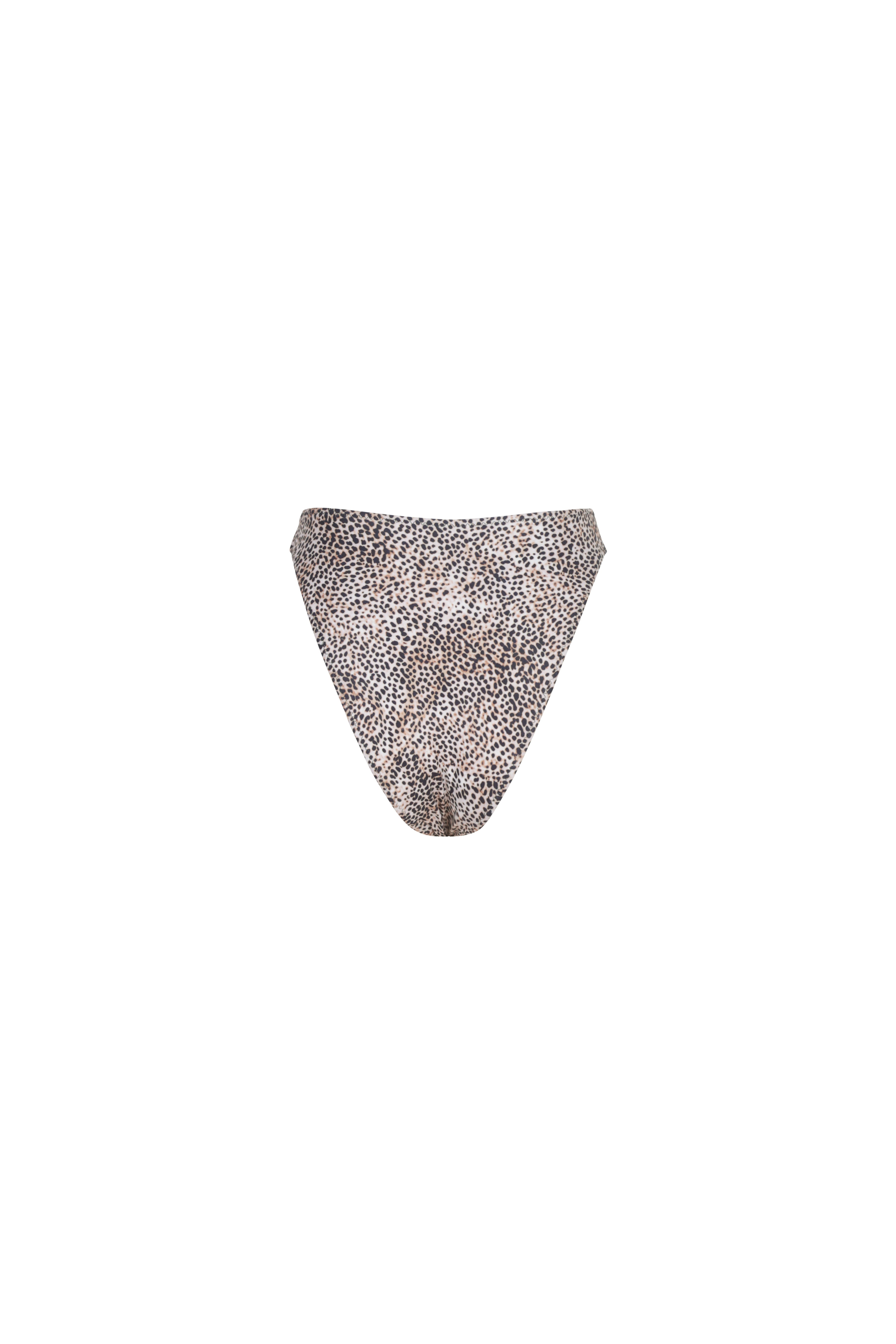 LEOPARD — Bottom campaign view
