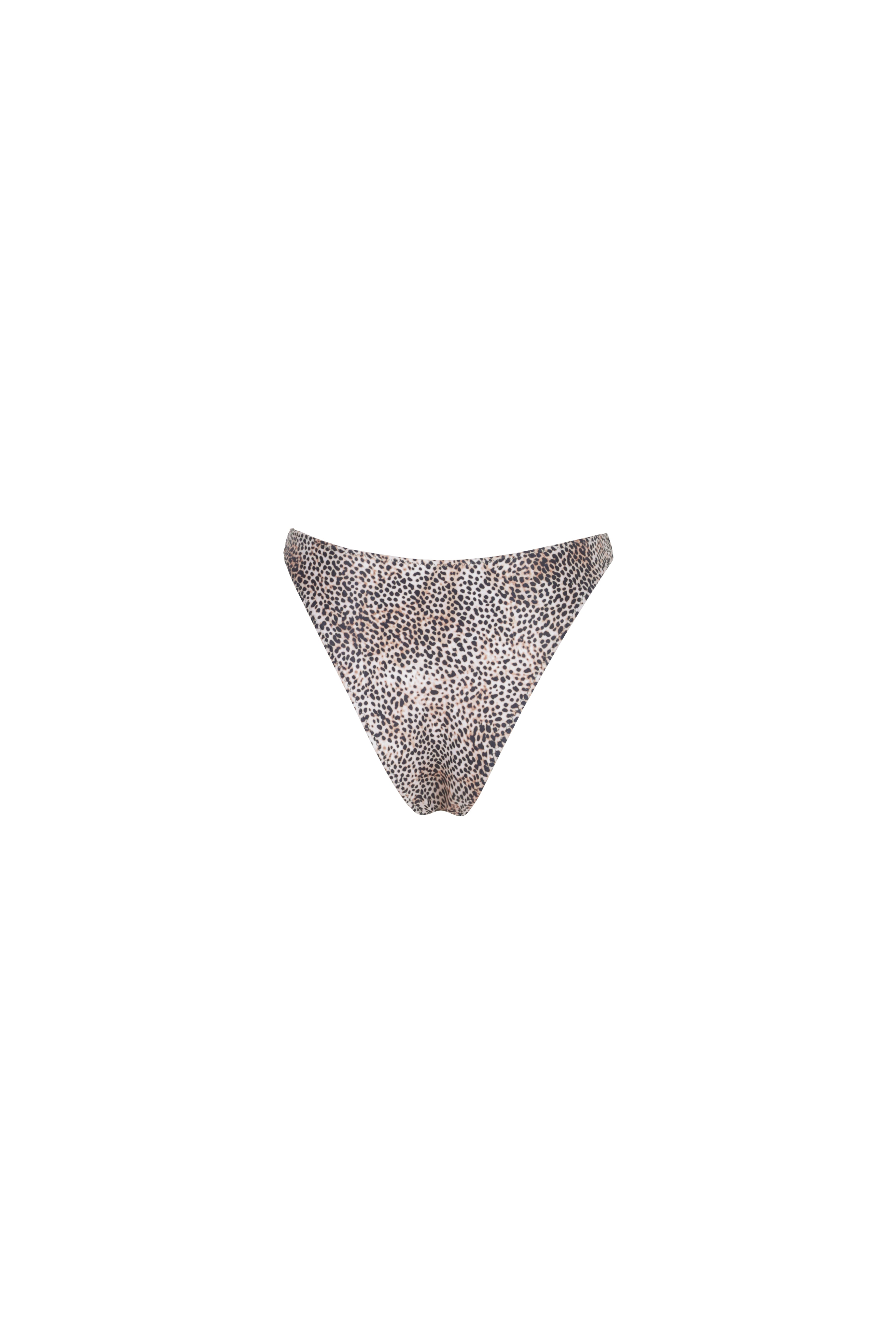 LEOPARD — Bottom detail view