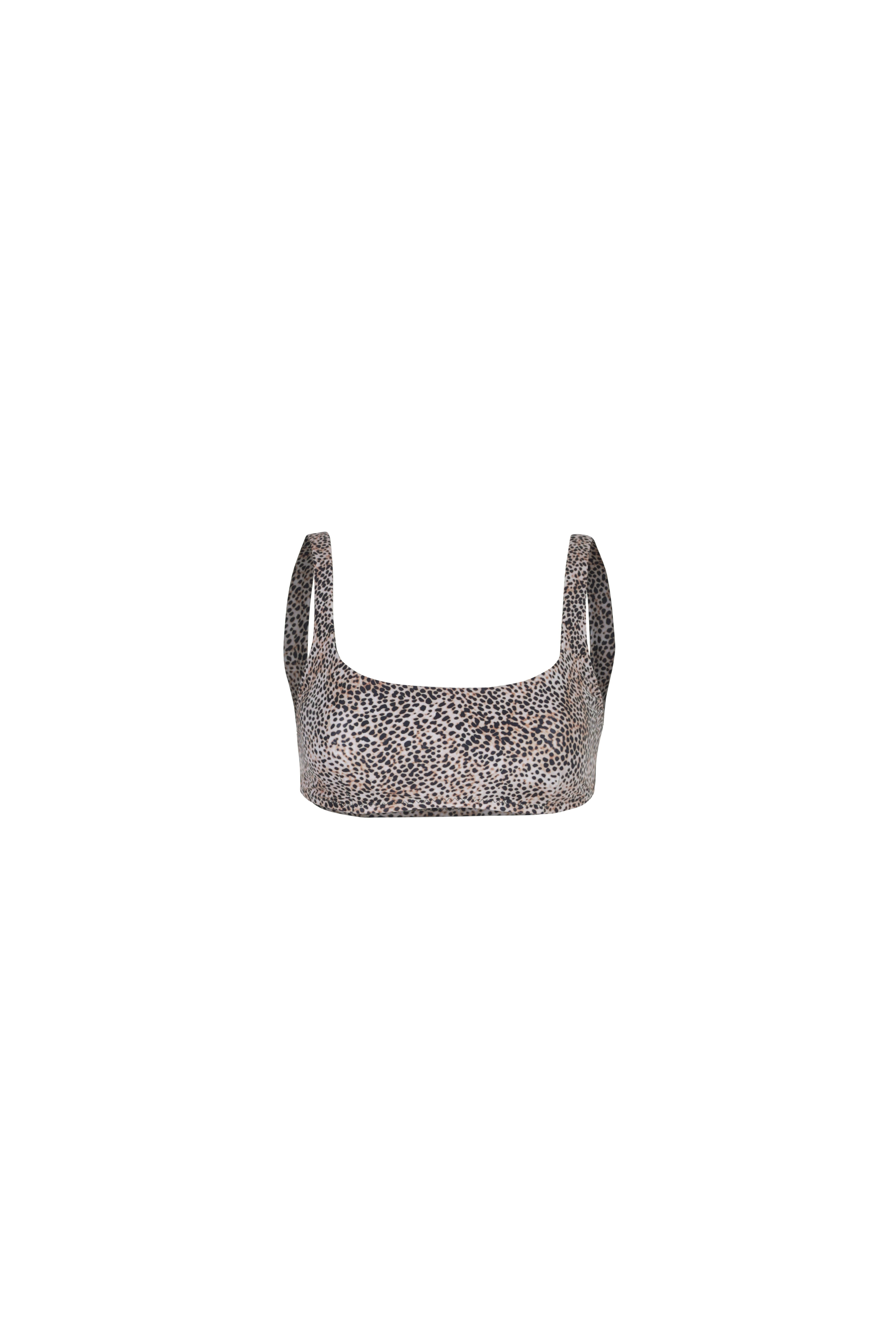 LEOPARD — Top back or side view